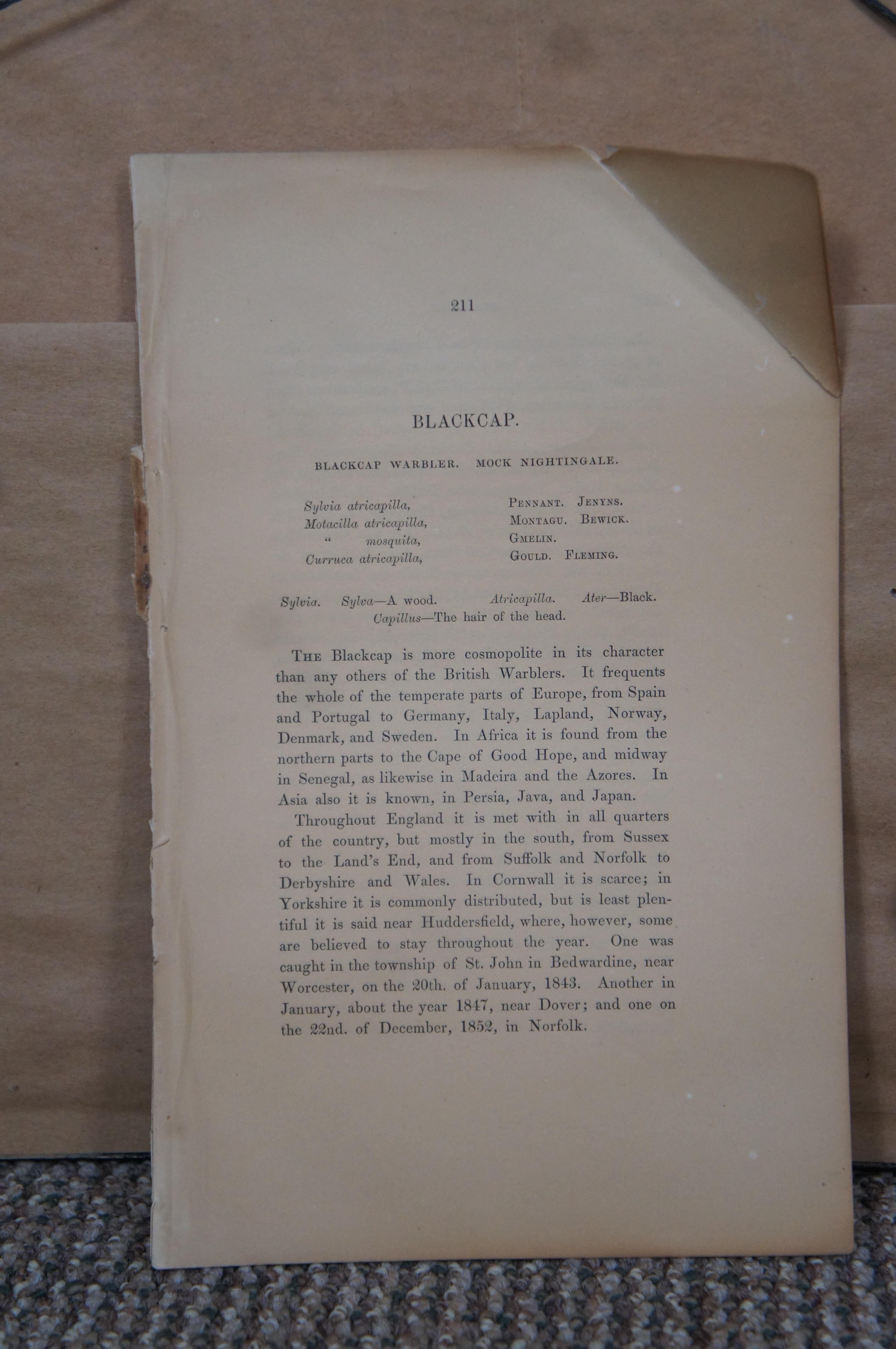 Paper 3 Antique History British Birds Chromolitho Prints Cuckoo Blackcap Nightingale