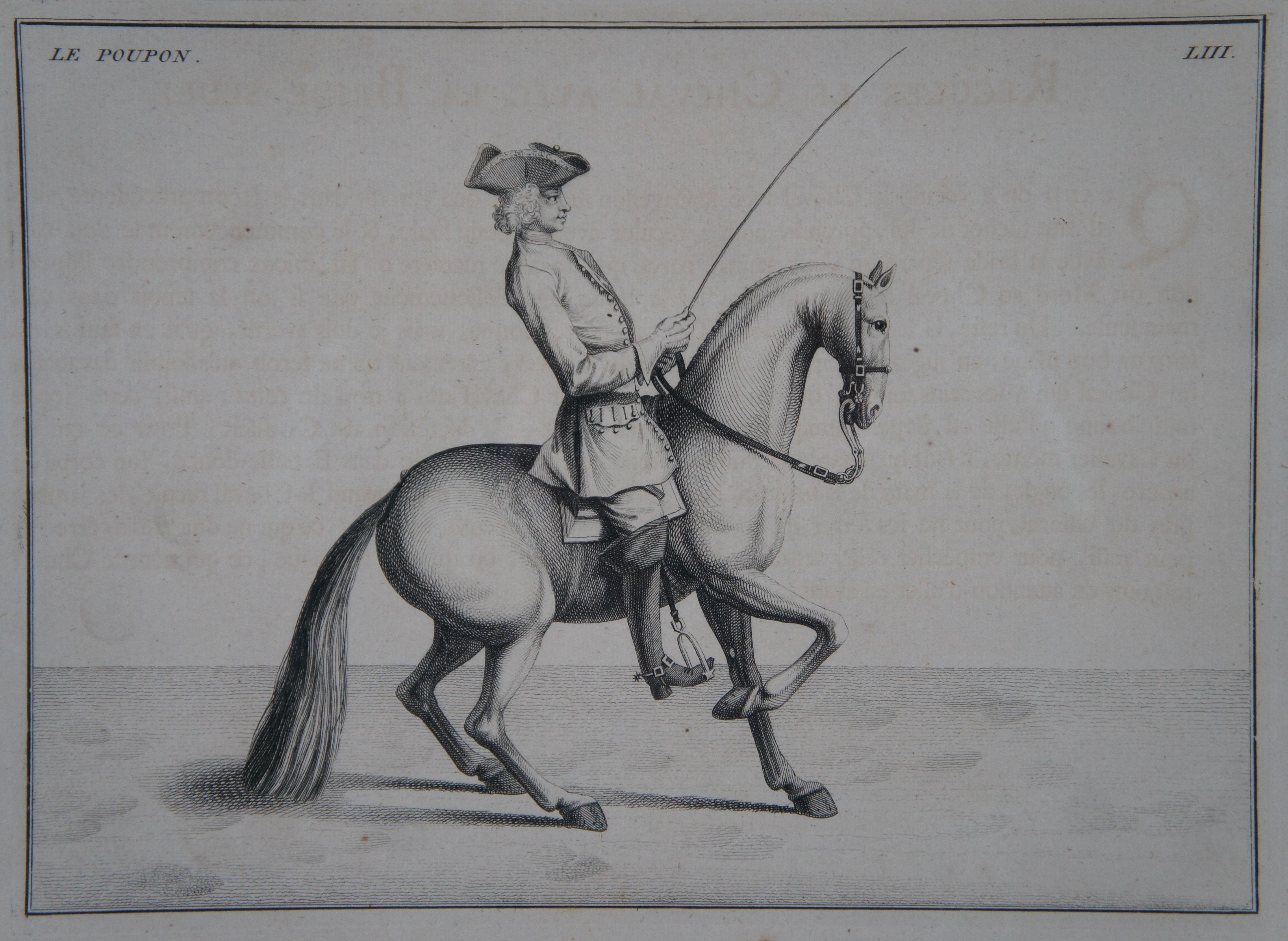 18th Century and Earlier 3 Art of Horse Riding Equestrian Engravings Eisenburg After Bernard Picart 21