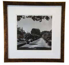 3 B+W Vogue Decorative Garden Photographs in Gold Frames Castle Lion Statue