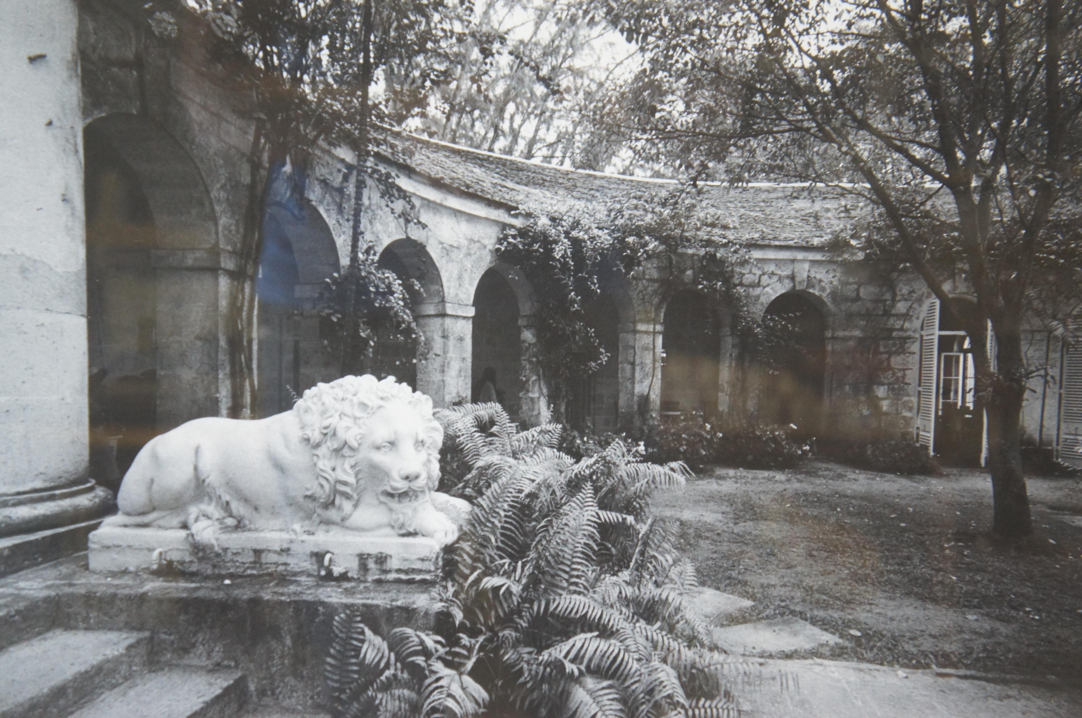 Paper 3 B+W Vogue Decorative Garden Photographs in Gold Frames Castle Lion Statue For Sale