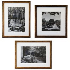 3 B+W Vogue Dekorative Gartenfotografien in Goldrahmen Schloss Löwenstatue