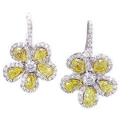 Dangle Earrings
