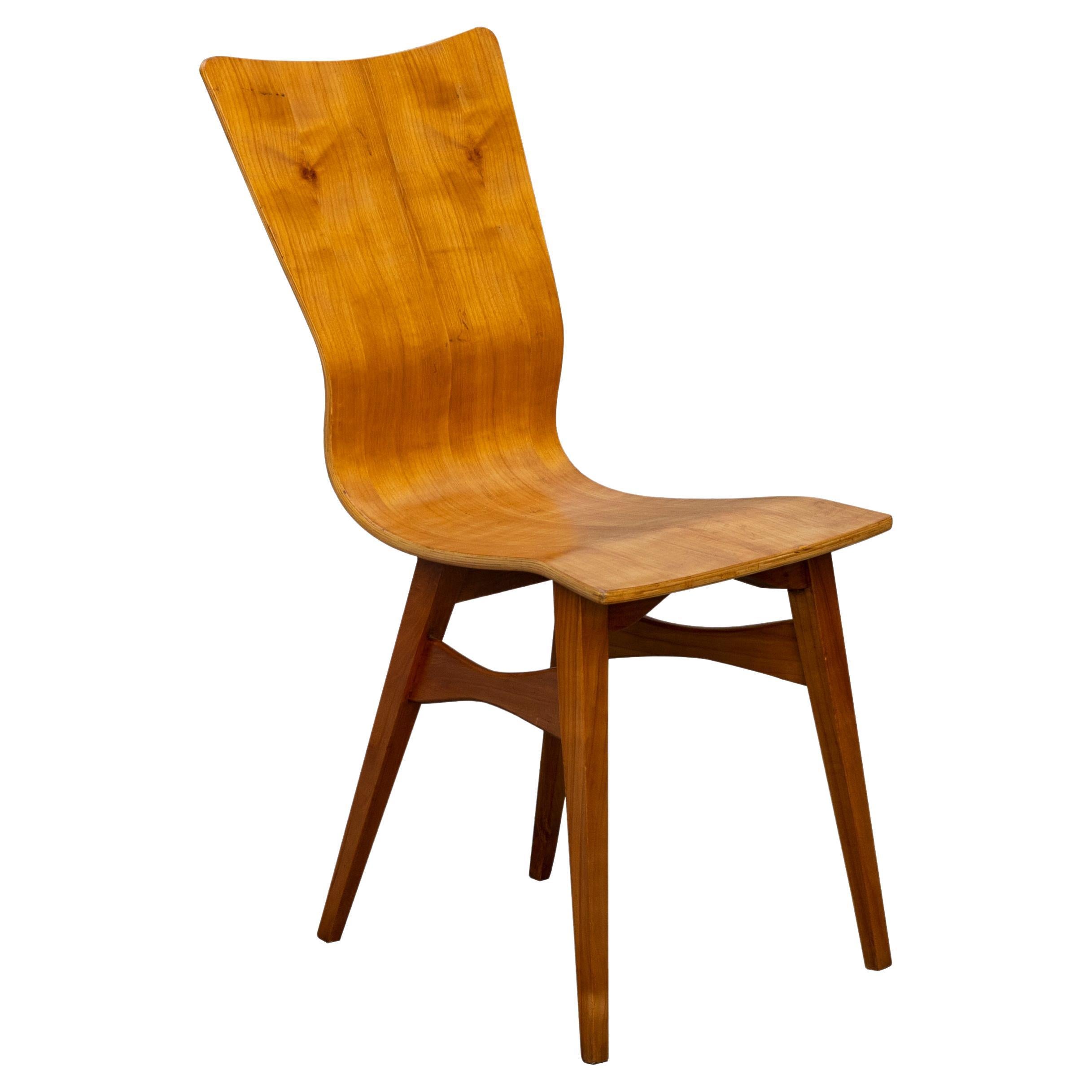 3 Chairs in the  Curved Wood .   Marked under the seat ,  by Fratelli Lippi , Italian design work from the mid-1950s. Original and documented. These 3 chairs have a fantastic deisg are interesting for the curved wooden seat , and for the laring of