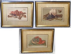 3 Chromo Lithographs - Lemercier Paris