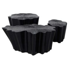 3 Cross-Section Tree Trunk Tables in Black Lacquered Resin
