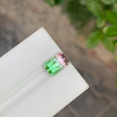 3 Cts Bicolor Pastel Pink & Mint Green Color Tourmaline Gemstones for Jewellery