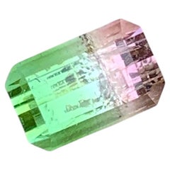 3 Cts Bicolor Pastel Pink & Mint Green Color Tourmaline Gemstones for Jewellery