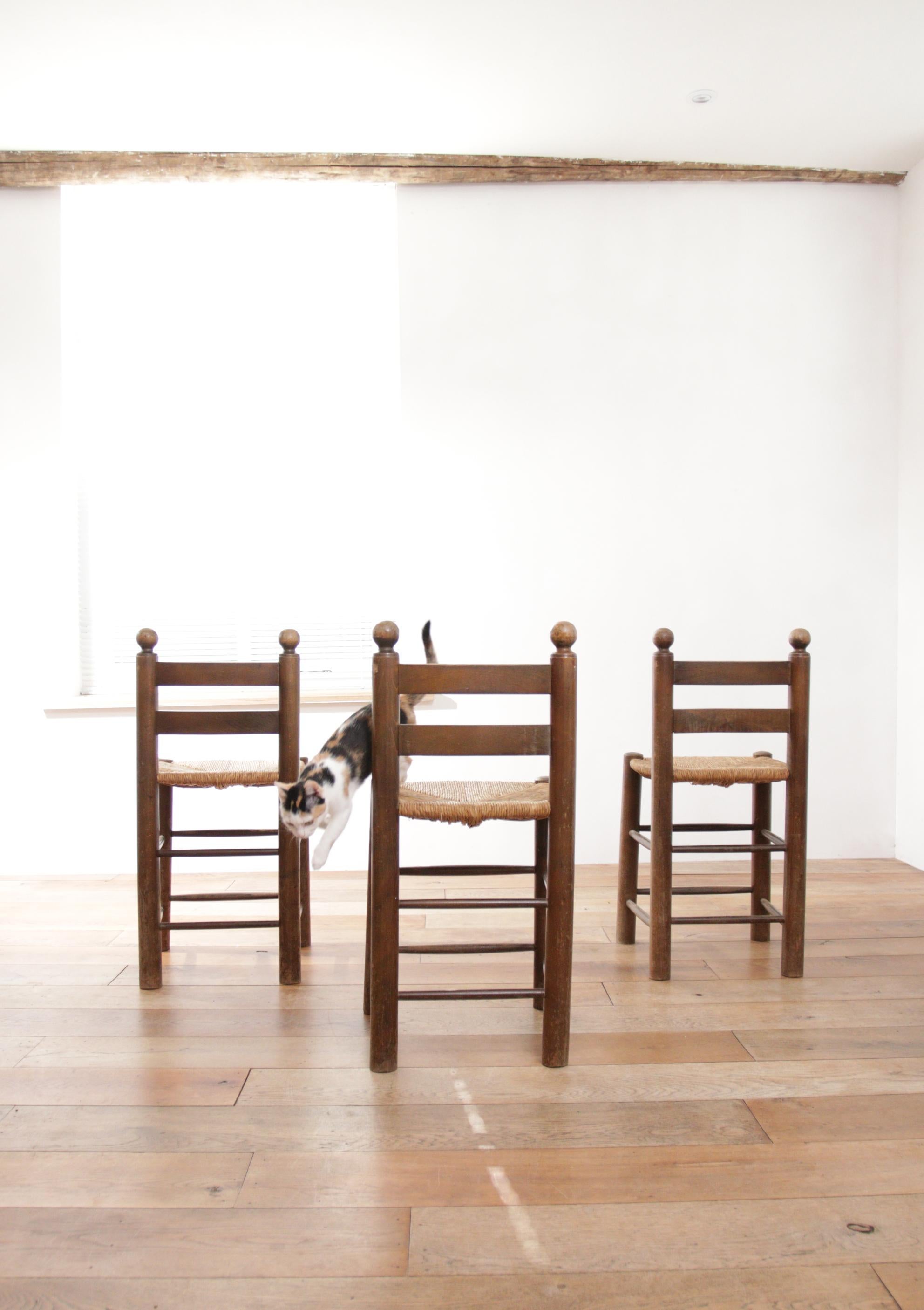 3 French Ladder Back Oak Rush Seat Dining Chairs For Sale 4