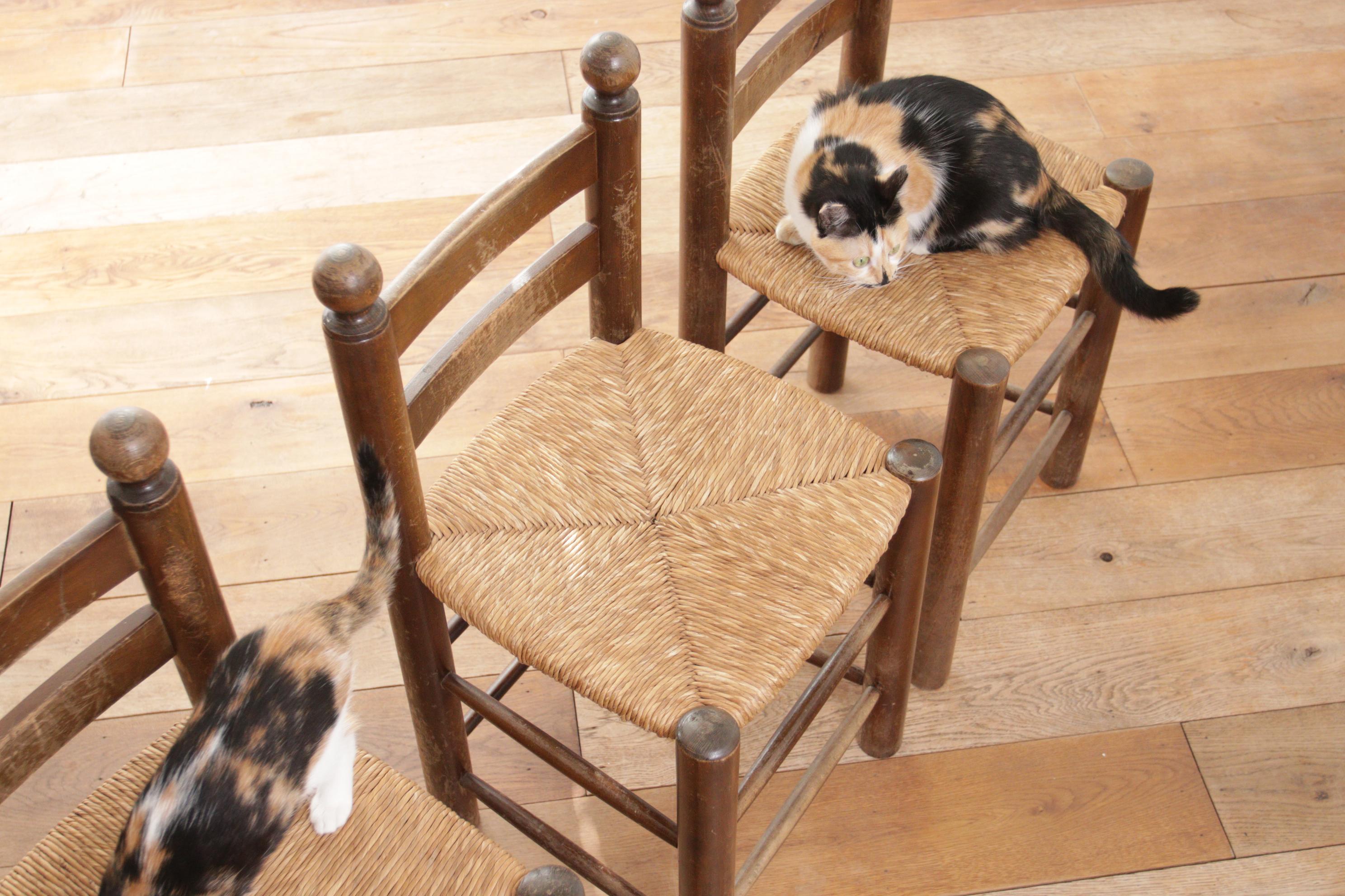 3 French Ladder Back Oak Rush Seat Dining Chairs 11