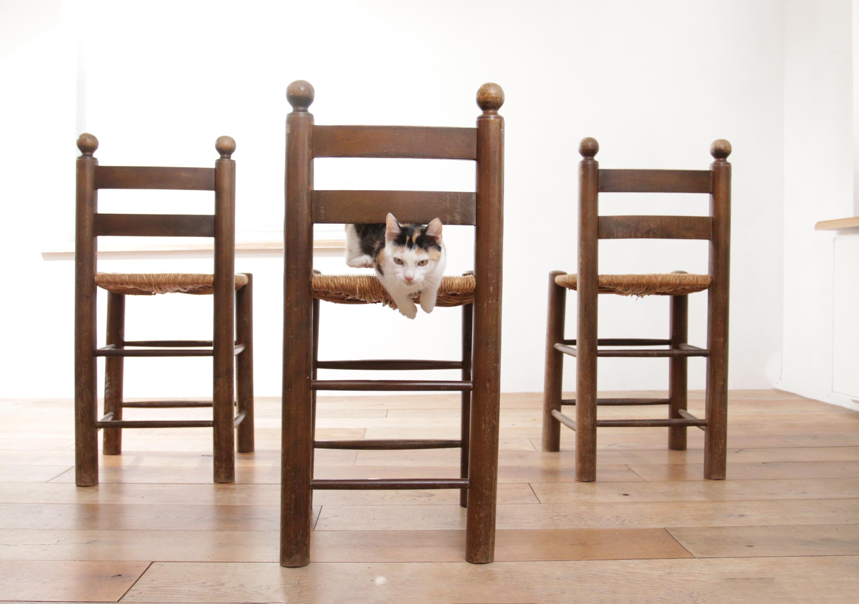3 French Ladder Back Oak Rush Seat Dining Chairs 2