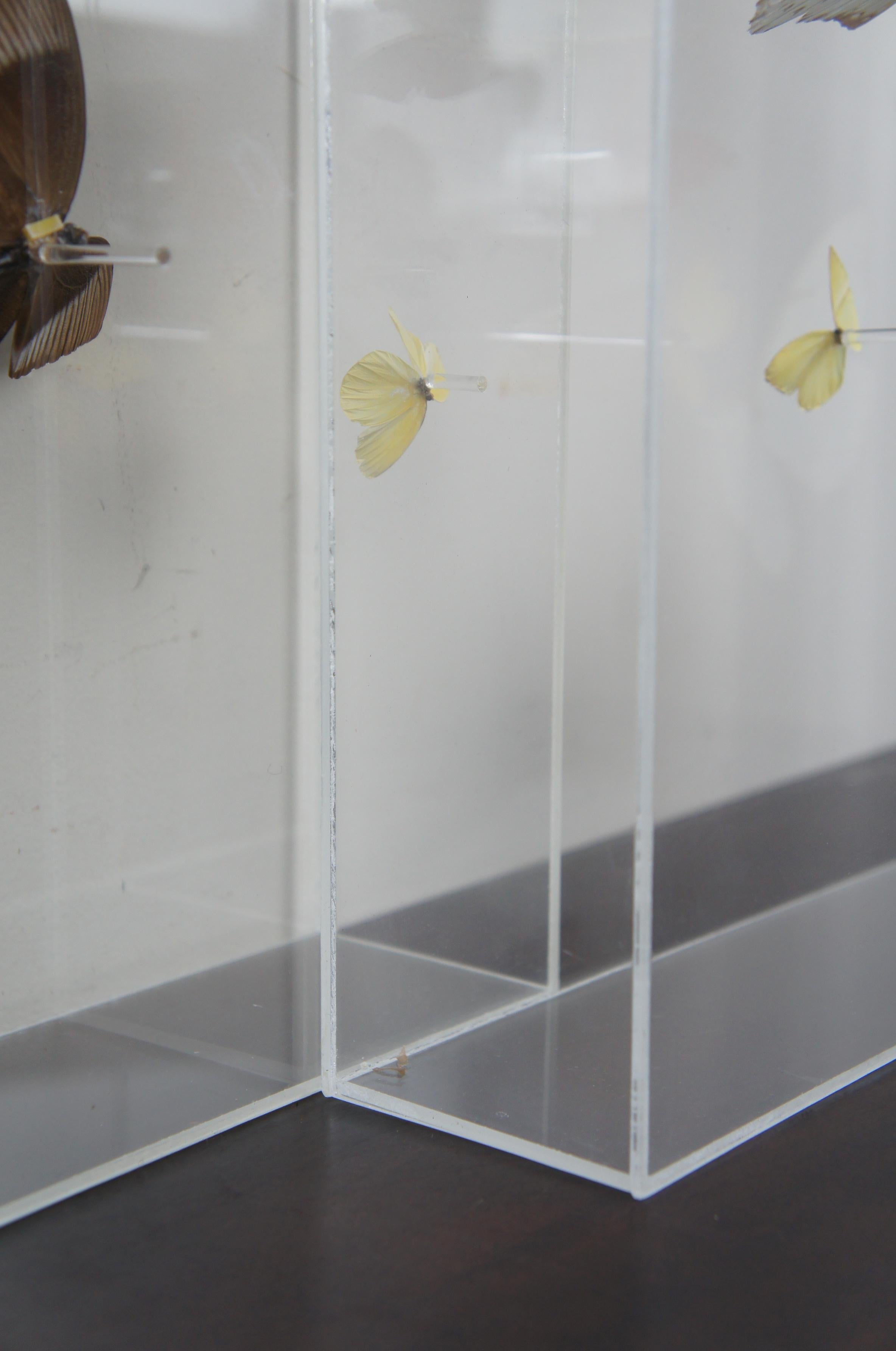 Late 20th Century 3 Large Exotic Butterfly Mounted Lucite Shadow Display Boxes Taxidermy San Juan