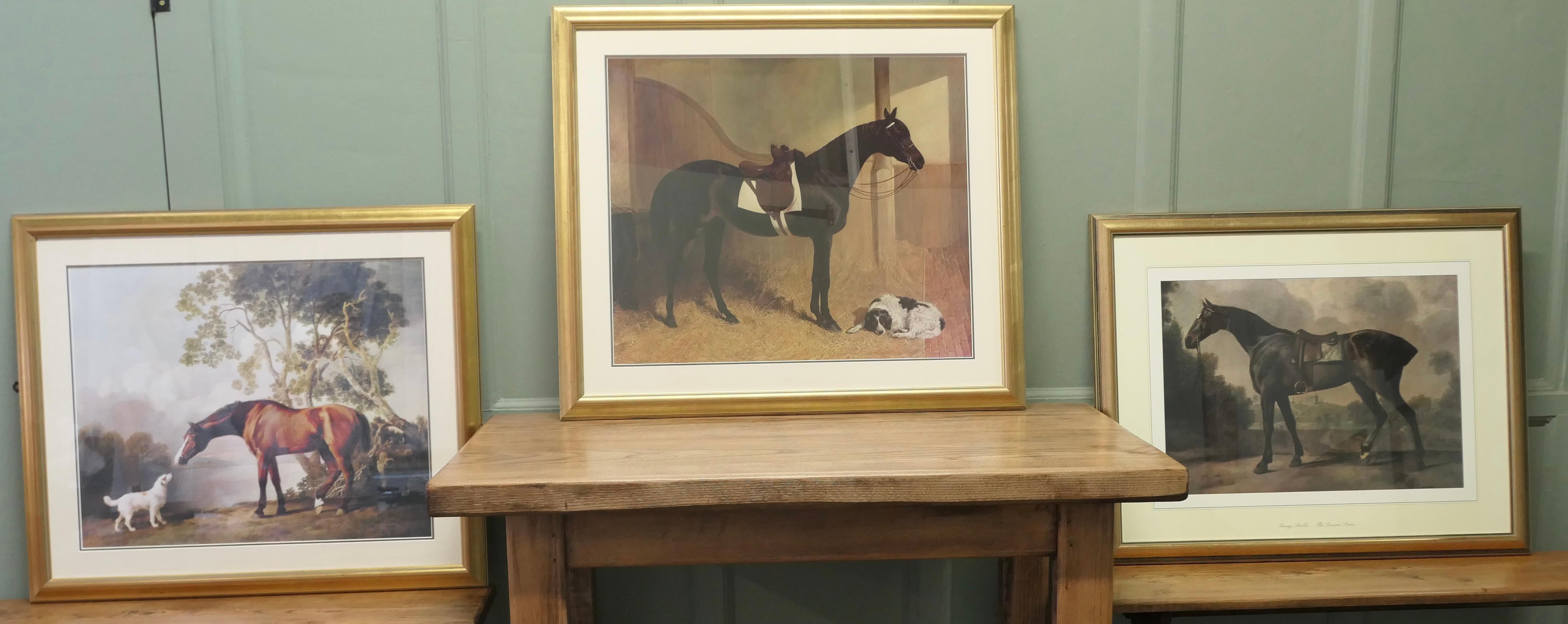 3 Stampe di cavalli con cornice di grandi dimensioni, George Stubbs

Si tratta di stampe di cavalli Champion montate in modo molto attraente, tra cui una stampa del Louvre di George Stubbs; i colori sono brillanti e chiari, l'oro è stato applicato