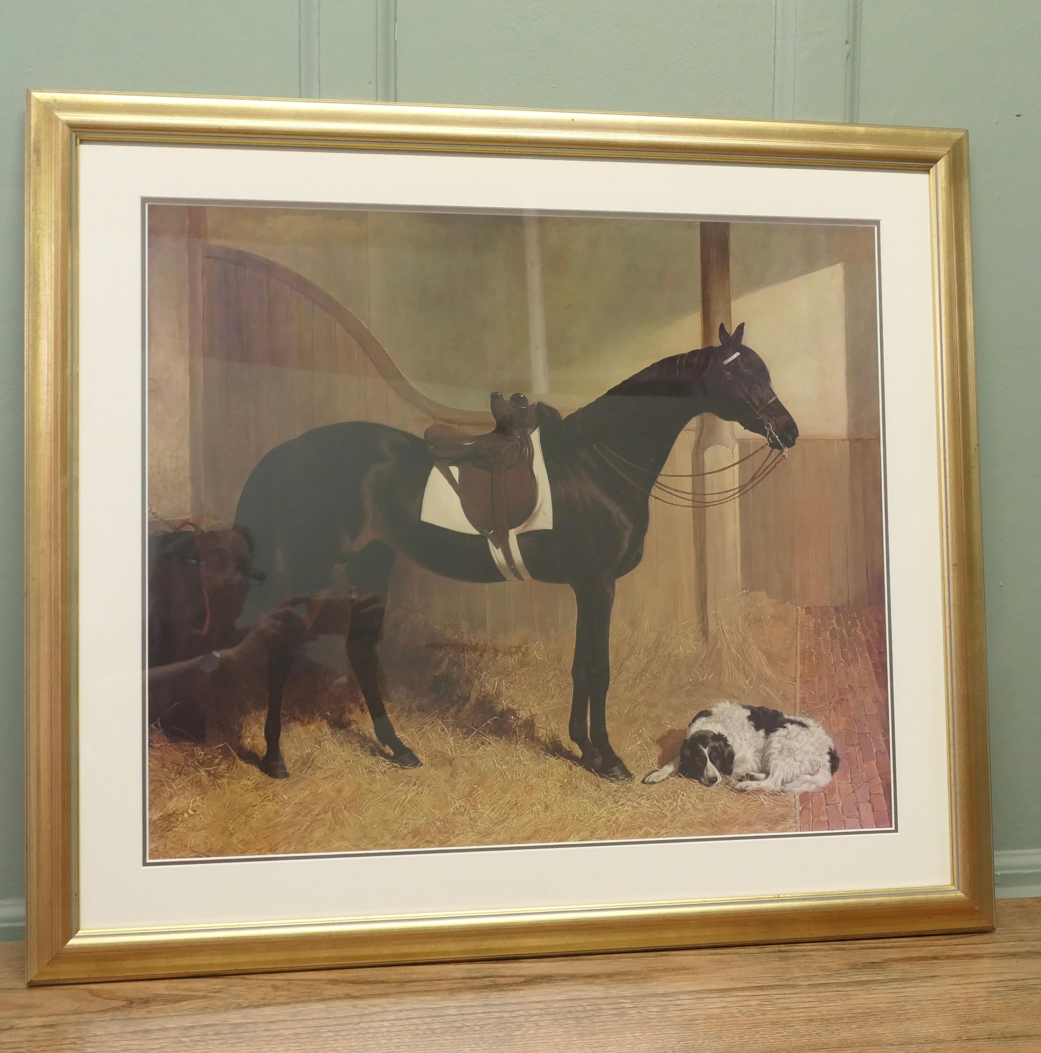 Belle Époque 3 Stampe di cavalli con cornice di grandi dimensioni, George Stubbs in vendita