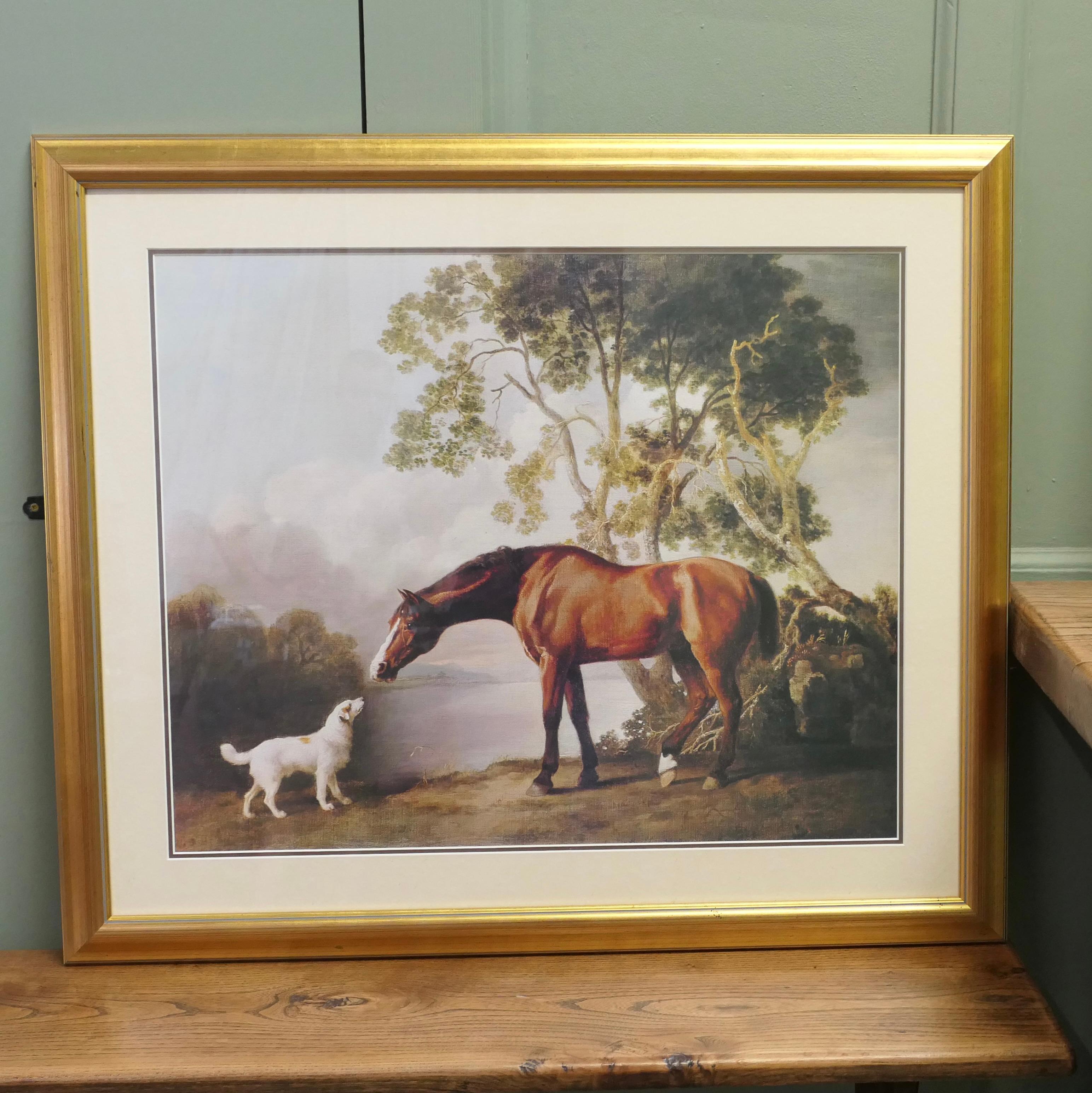 3 Stampe di cavalli con cornice di grandi dimensioni, George Stubbs In condizioni buone in vendita a Godshill, Isle of Wight
