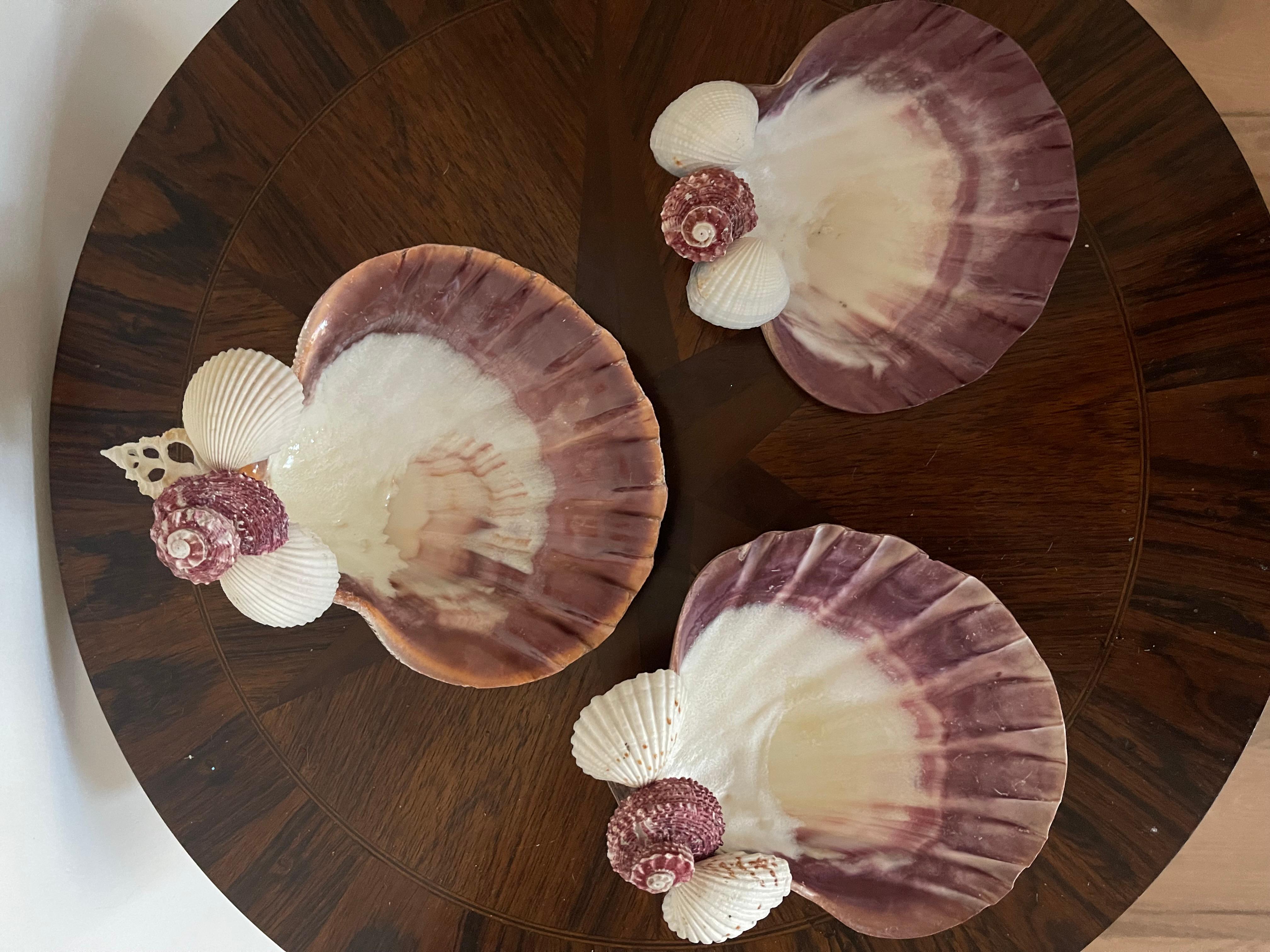 Set of 3 handmade 6” shells decorated with turbo shells. Great coastal design.