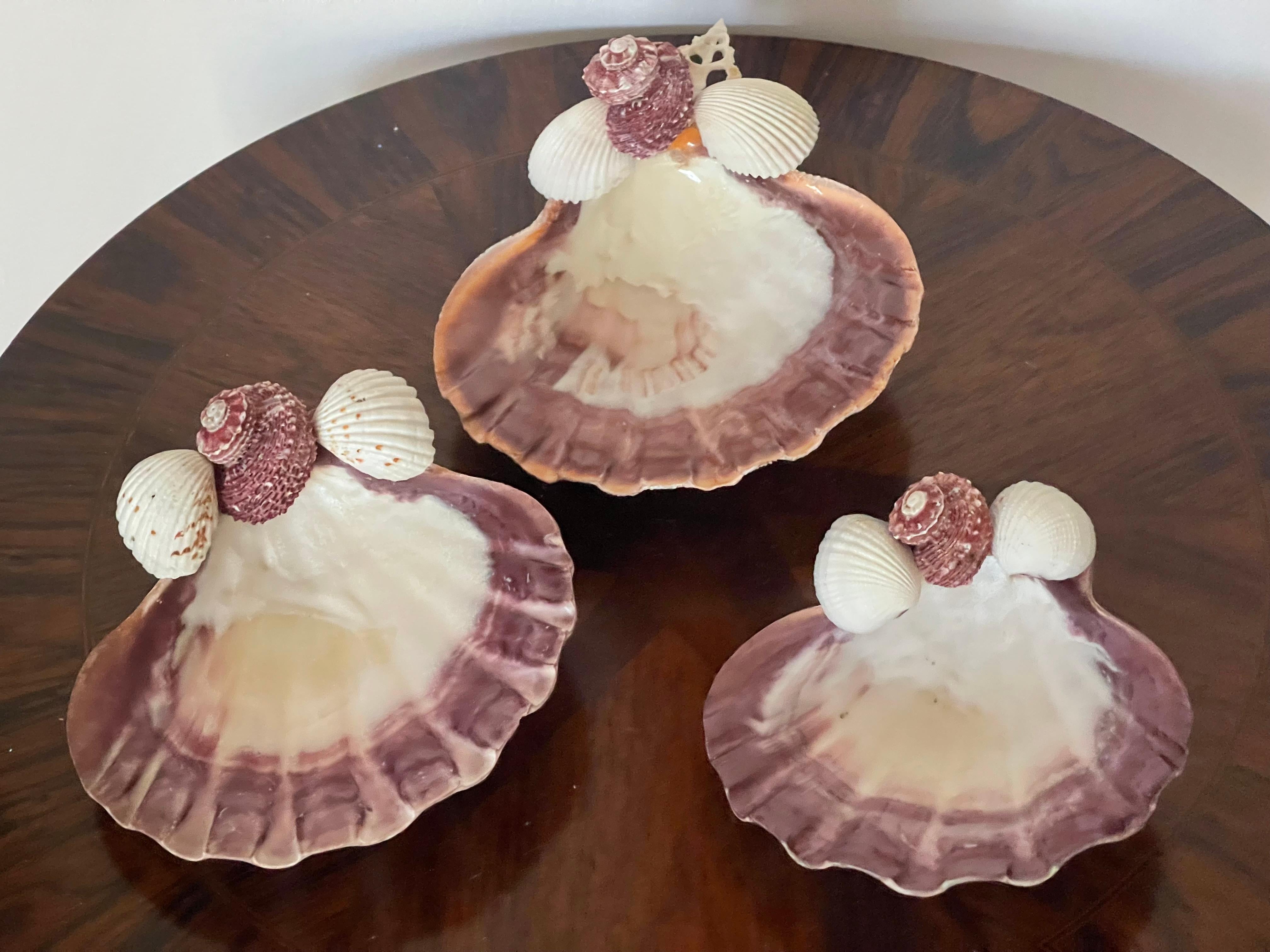 Organic Modern 3 Large Sea Shell Decorative Bowls For Sale