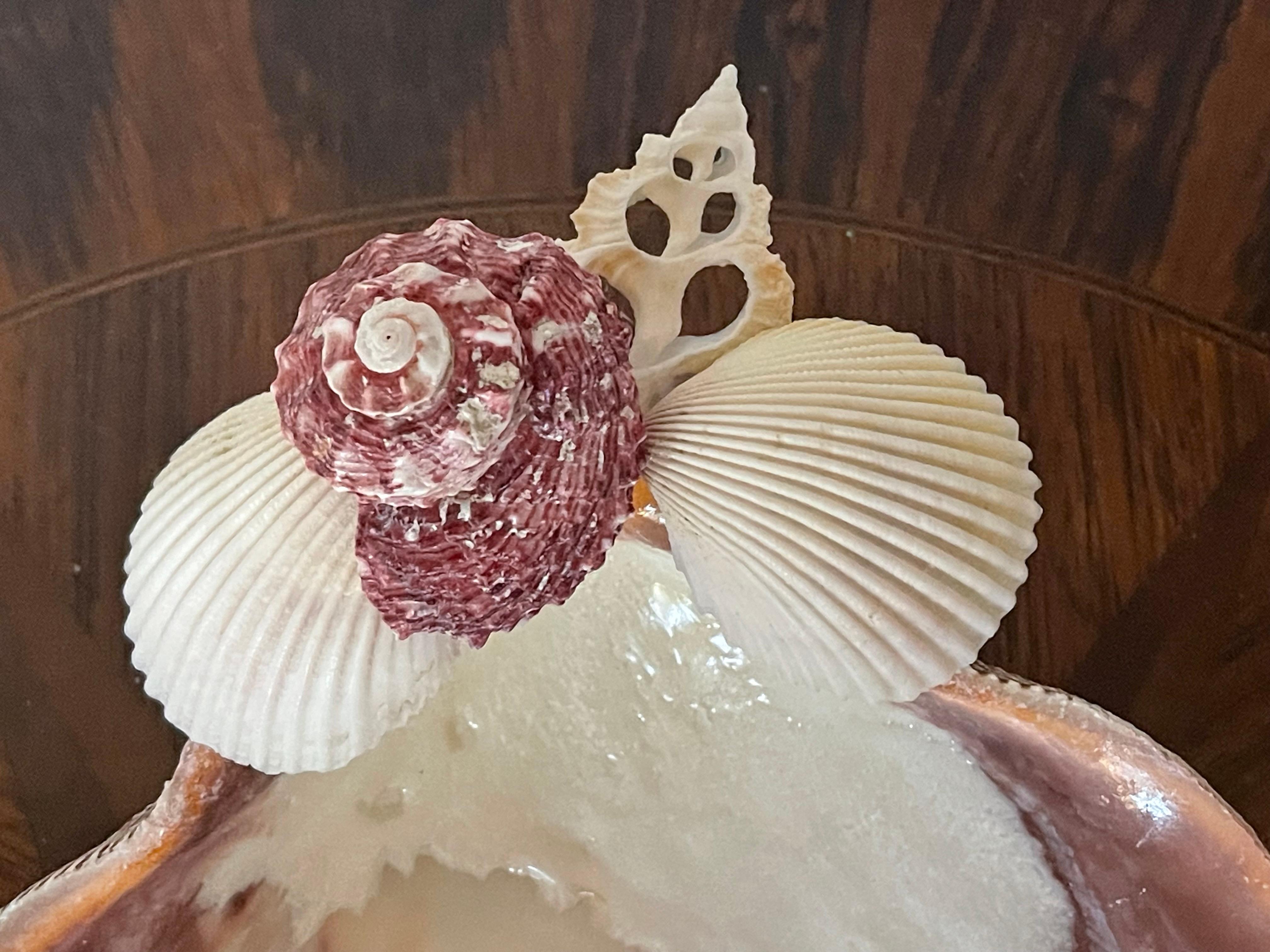 American 3 Large Sea Shell Decorative Bowls For Sale