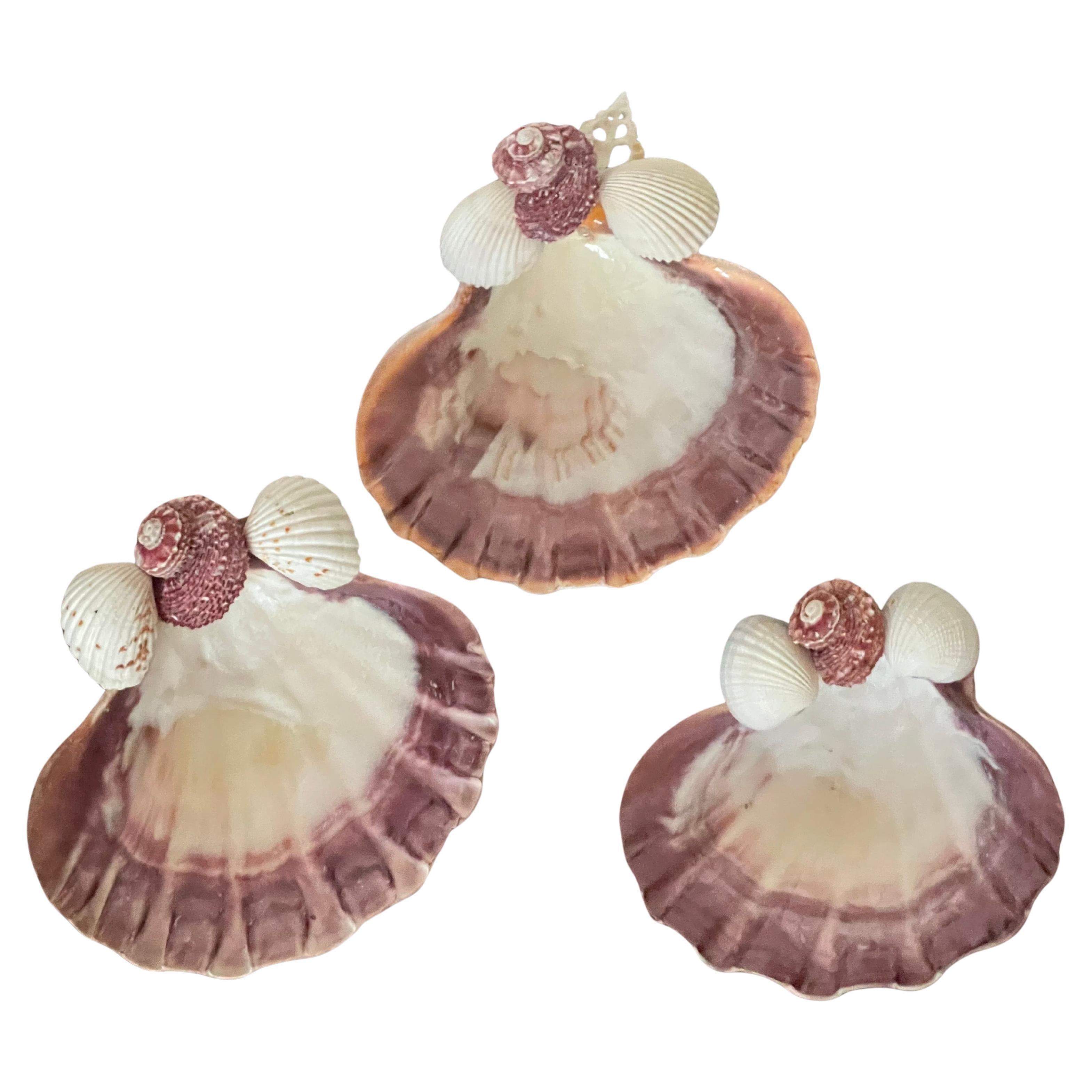 3 Large Sea Shell Decorative Bowls