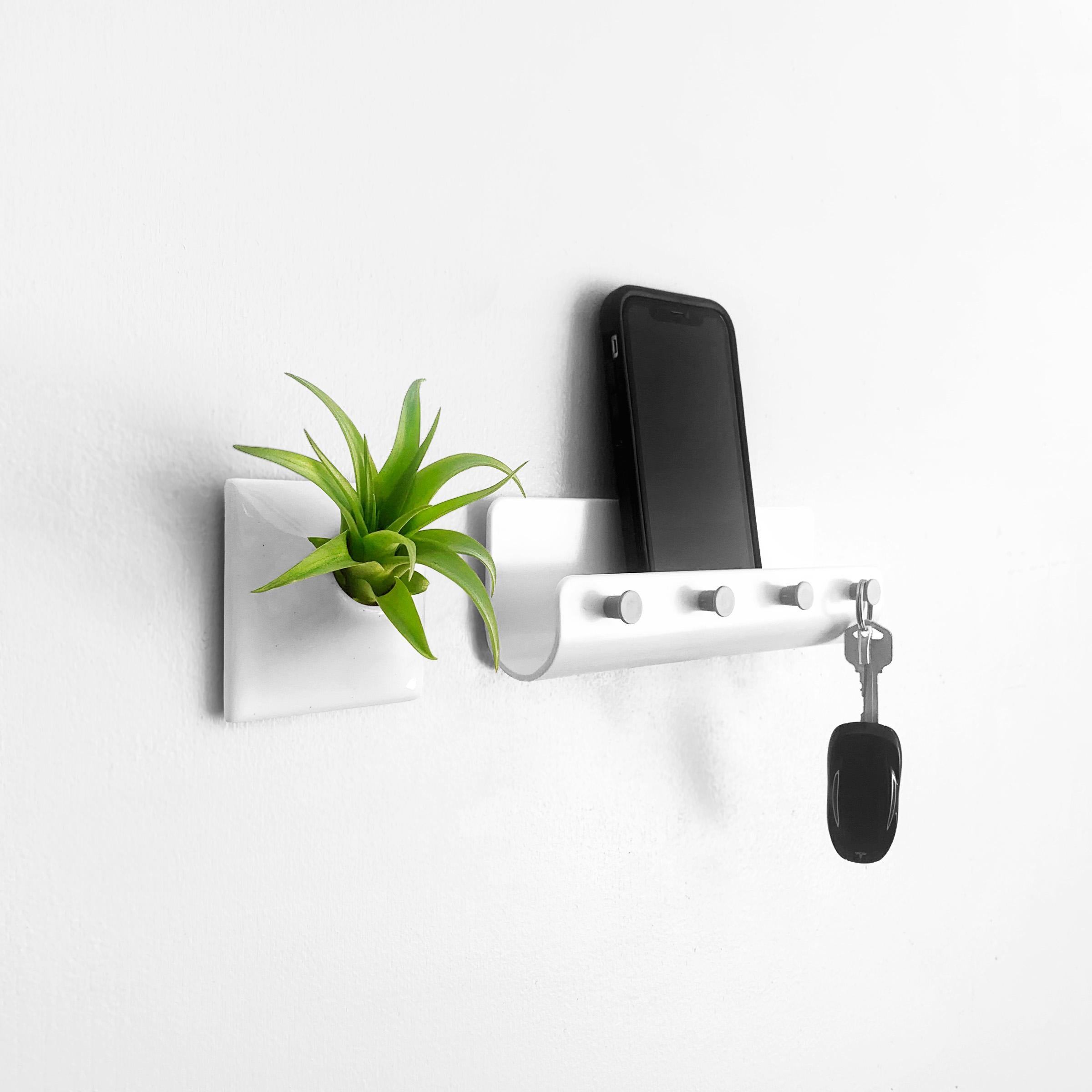 Glazed Modern Mini Wall Planter, Air Plant Holder Hanger, Living Wall Decor, Node 3