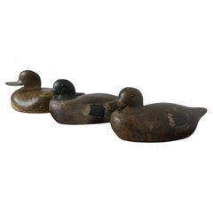 3 bemalte und geschnitzte Deko-Enten  Es sind gute Dekokissen des 19. Jahrhunderts