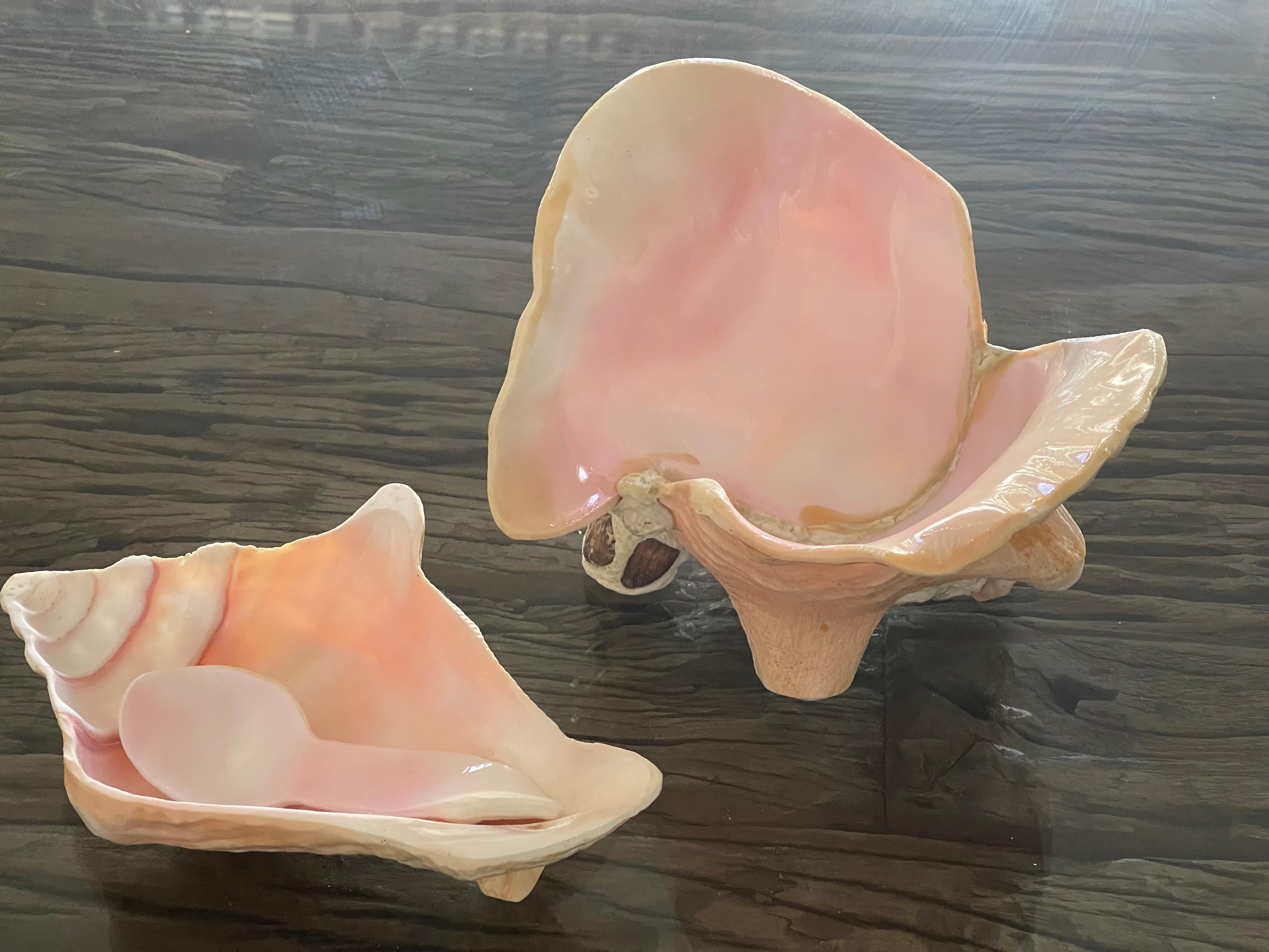 Antque artisan made 3 pcs set of sea shell bowls and spoon, handcarved. Unique serving pieces for coastal decor table settings.
