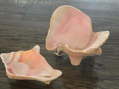 3 pcs Sea Shell Bowls and Spoon Table Set Handmade