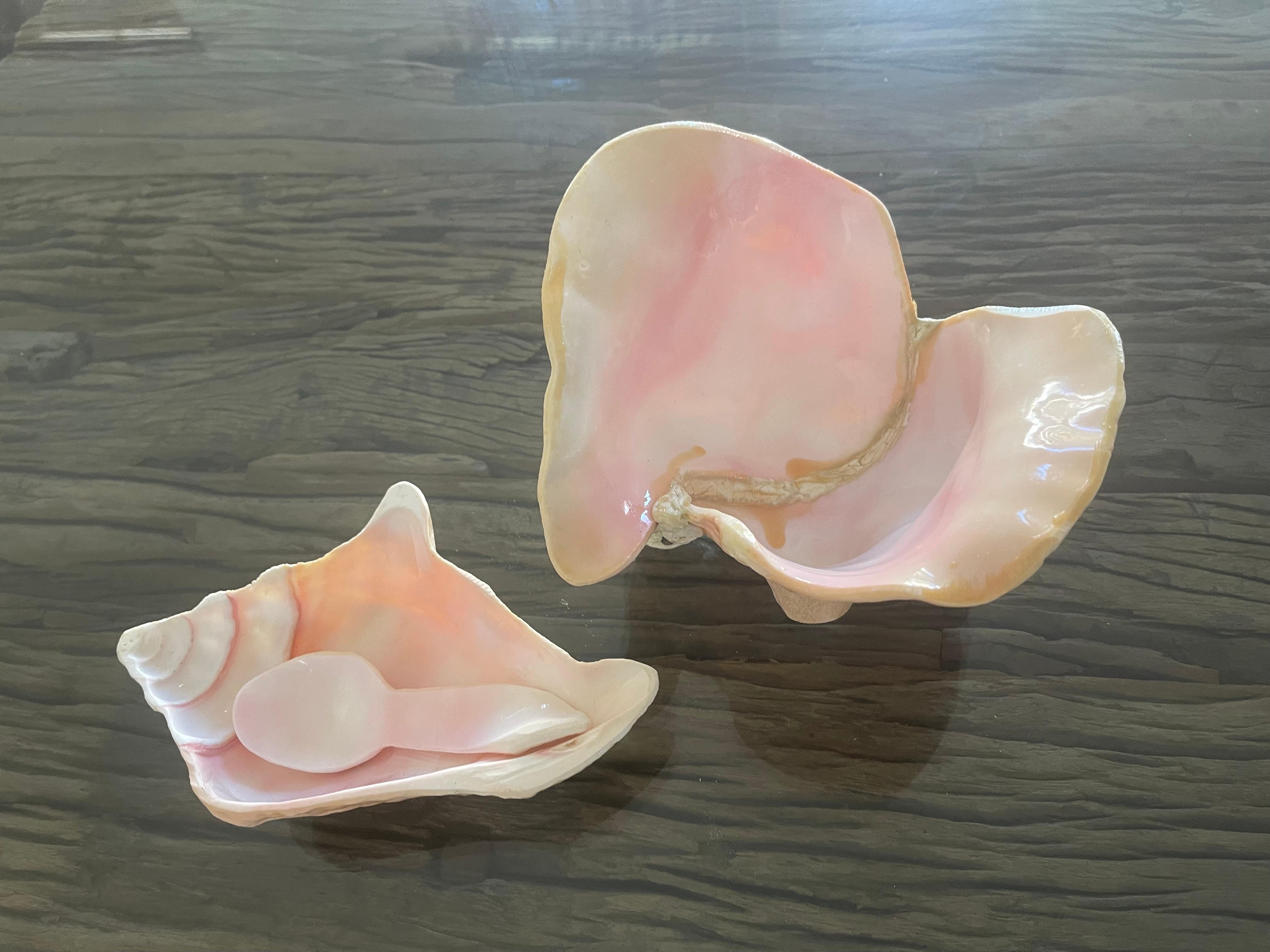 Organic Modern 3 pcs Sea Shell Bowls and Spoon Table Set Handmade For Sale