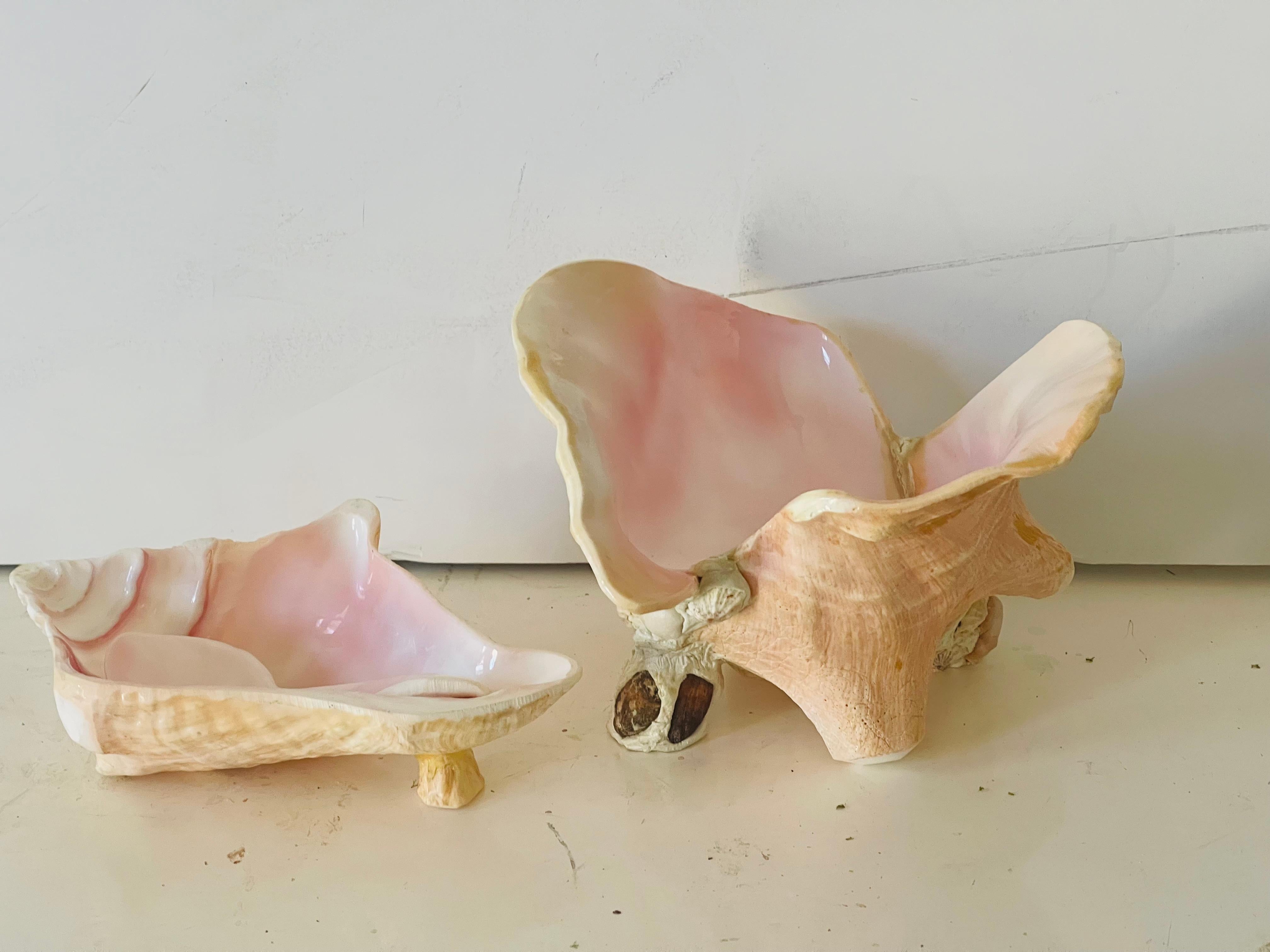American 3 pcs Sea Shell Bowls and Spoon Table Set Handmade For Sale