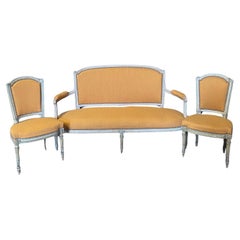 3 Piece Elegant and Rare 19th Century Classic French Louis XVI Salon Set