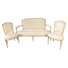 3 Pieces Elegantes und seltenes 19. Jahrhundert Classic Französisch Louis XVI Salon Set