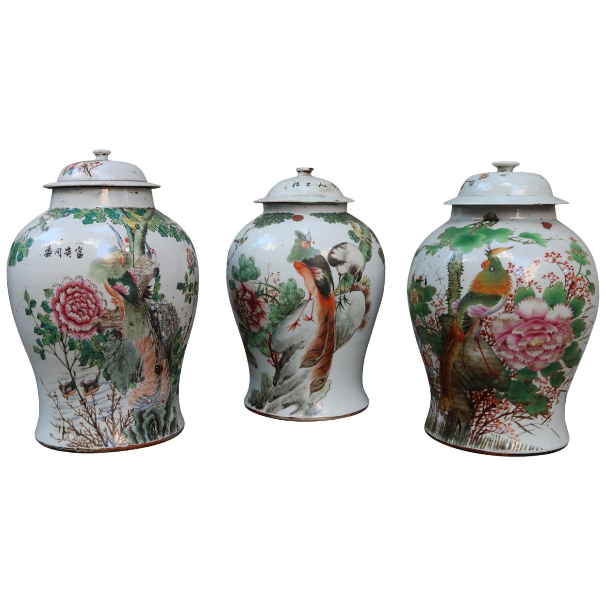 3 Porcelain Chinese Vases, Early 20th Century For Sale