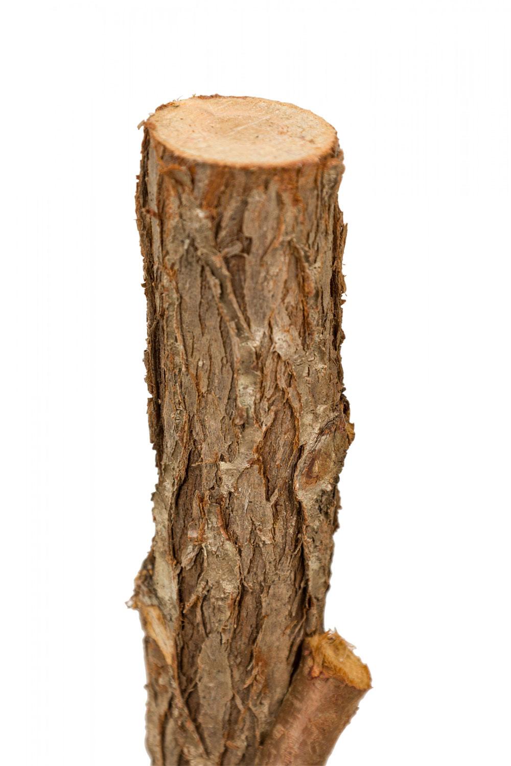 3 Rustic Adirondack Square Side Tables with Branch Bases For Sale 5