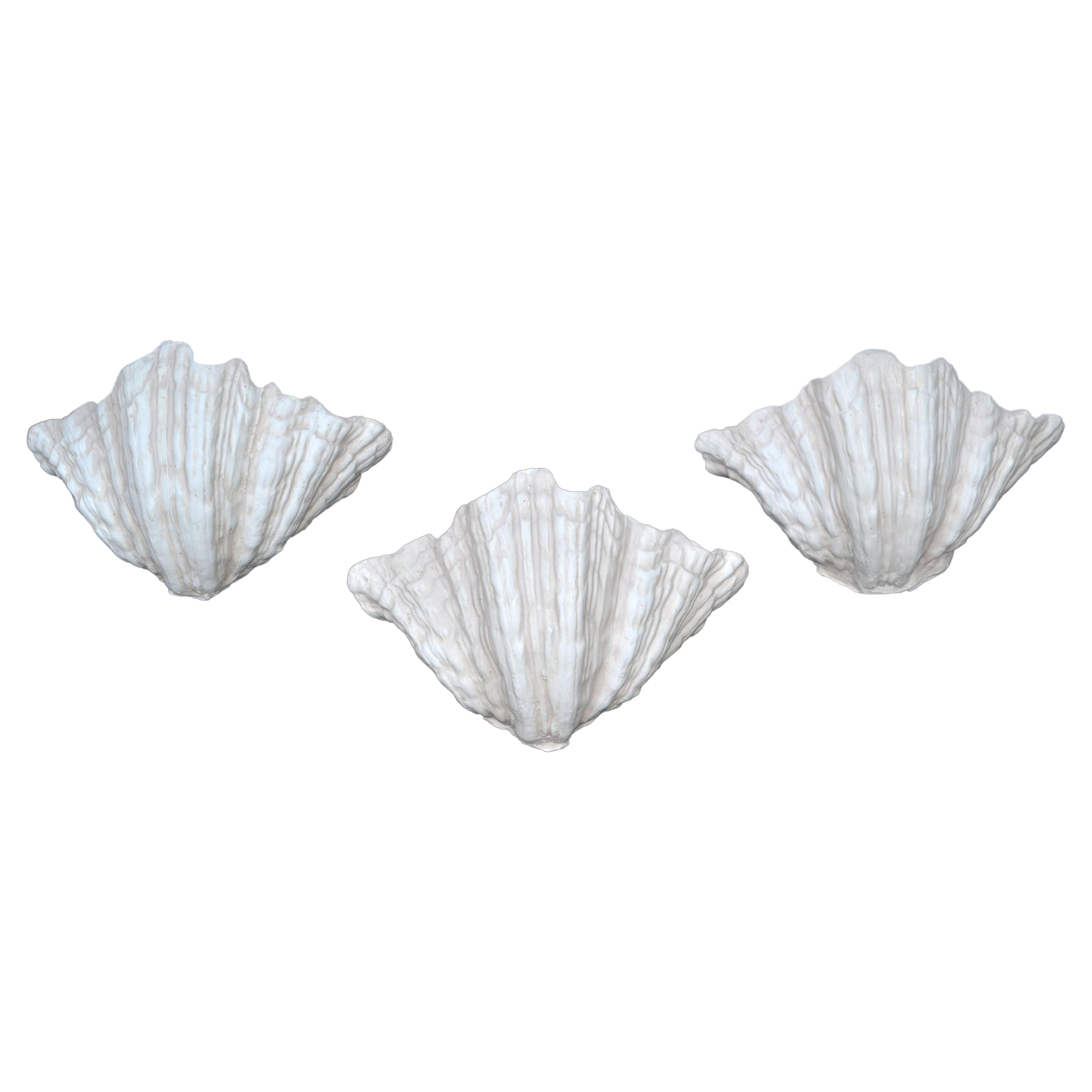 Serge Roche Pair Of Shell Wall Sconces at 1stDibs