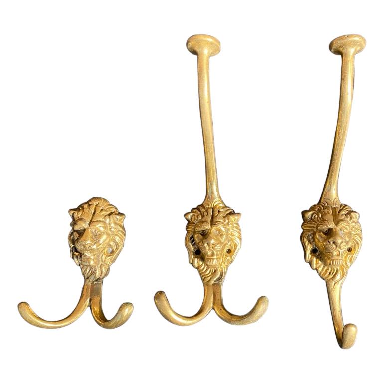3 Solid Brass Coat / Hat Hooks with Loins Head, France, 1973 at 1stDibs |  loins hat
