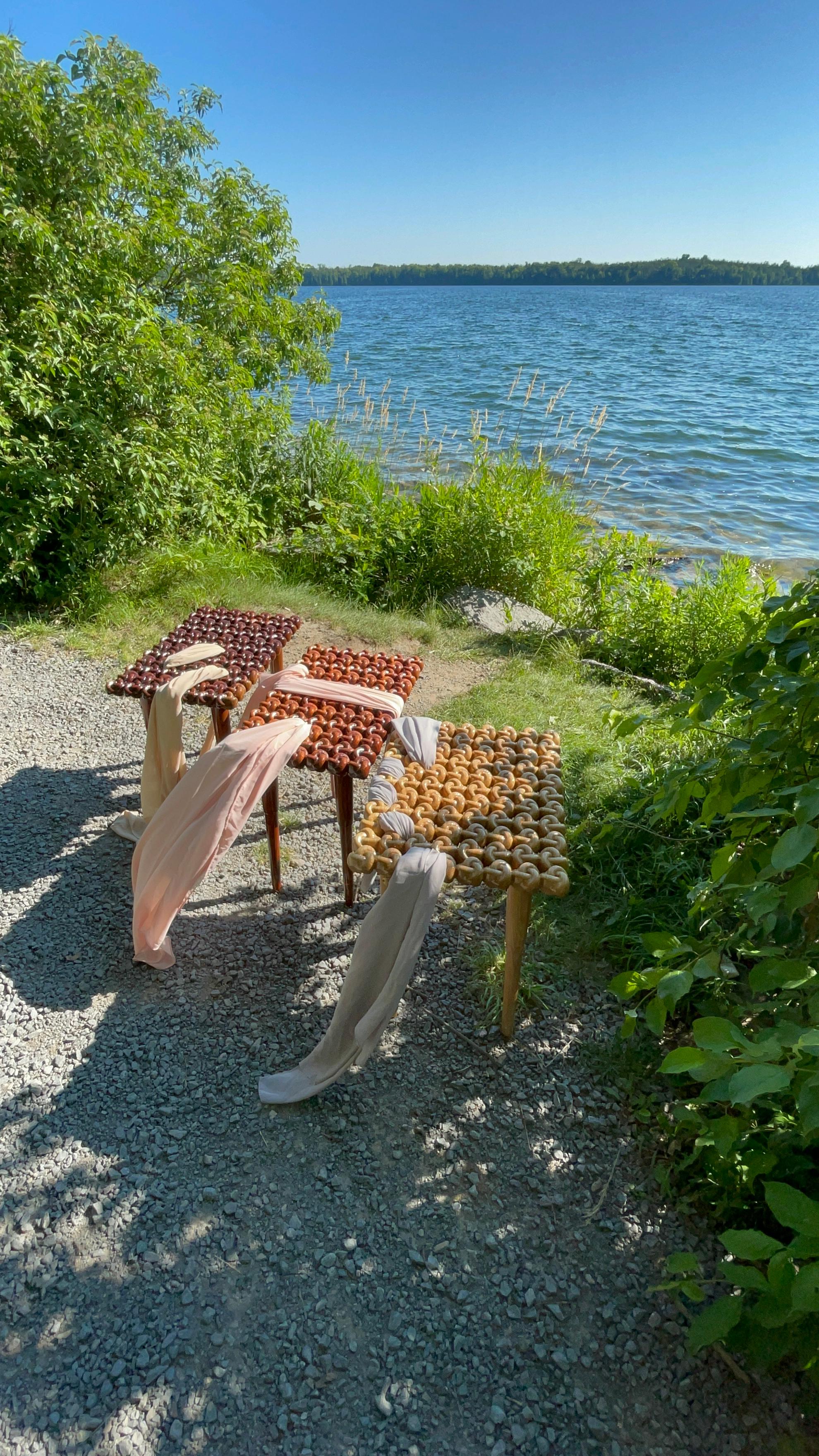 Bois dur Sapele massif de 3 pouces d'épaisseur - Finition à la main - Nœud sculptural organique moderne en vente 5