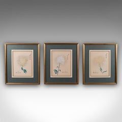 3 Vintage Botanical Pictures, Japanese, Woodblock Print, After Hasegawa, Art