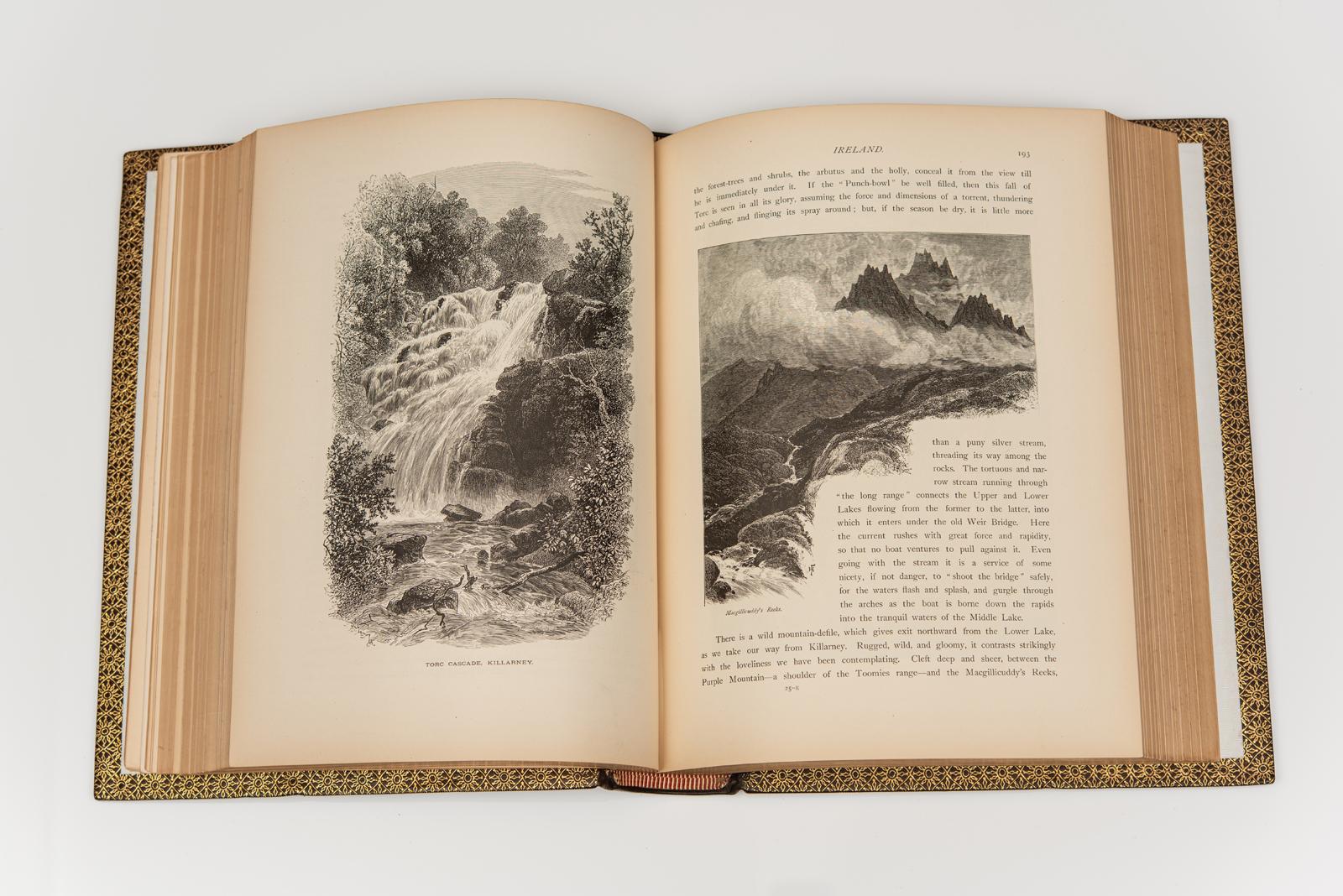 3 Vol. Bayard Taylor, Europa pintoresca Cuero en venta