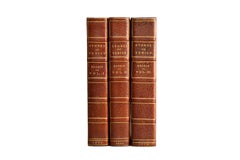 3 Volumes. John Ruskin, The Stones of Venice.
