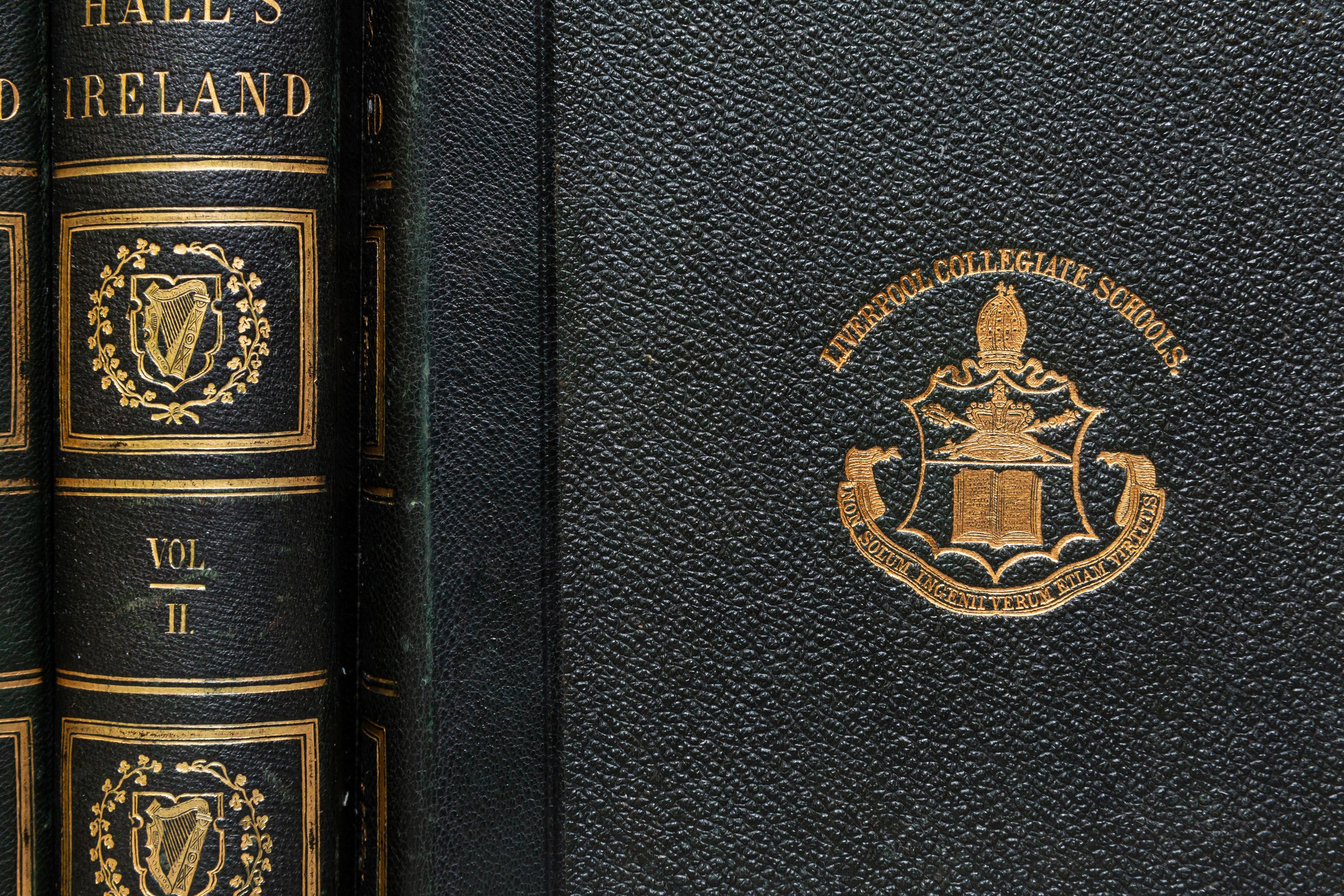 Leather 3 Volumes, Mr. and Mrs. S. C. Hall, Ireland For Sale