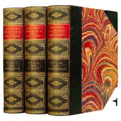 Antique 3 Volumes. The Rev. J.G. Wood, M.A. F.L.S., The Illustrated Natural History