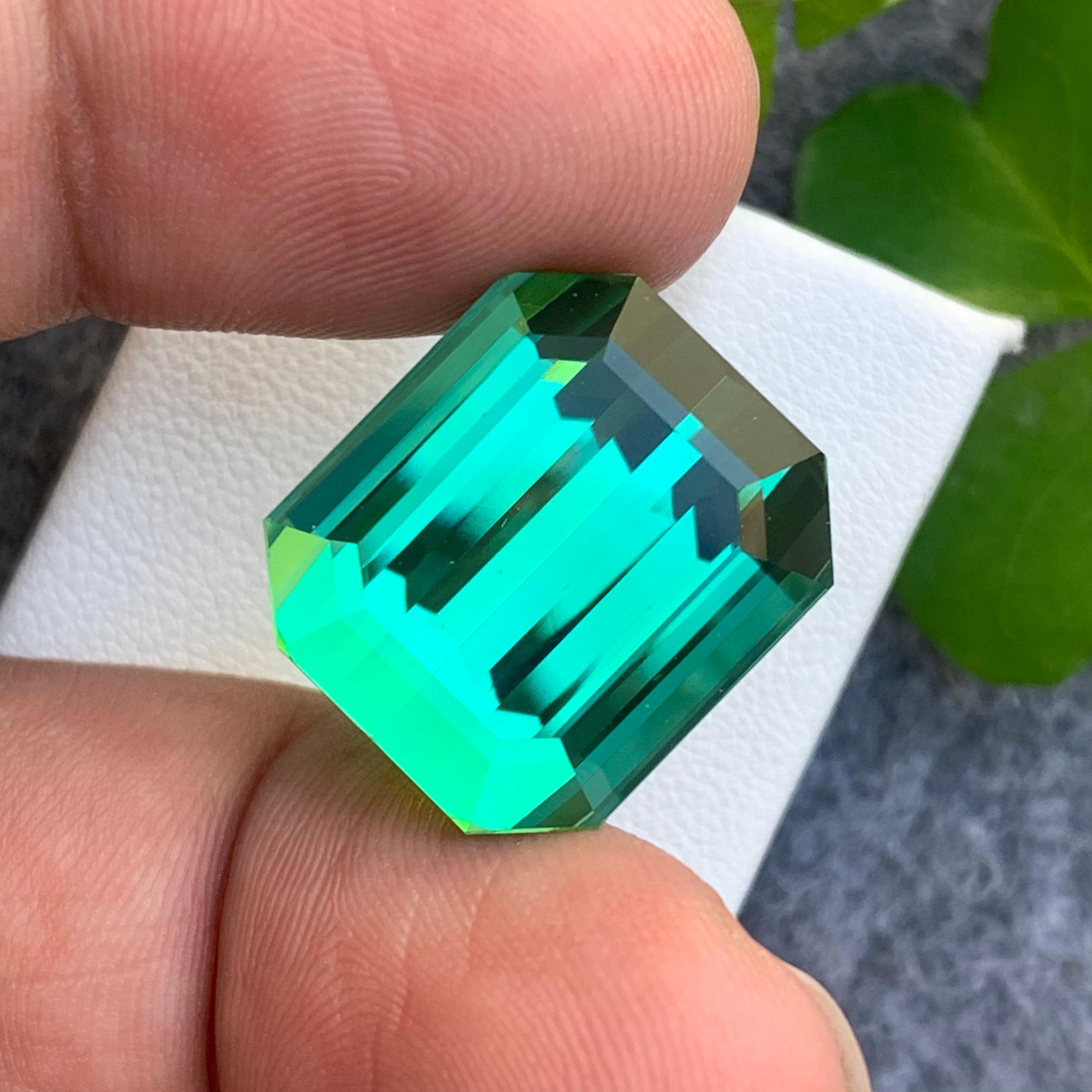 30.0 Carat Beautiful Quality Natural Lagoonish Green Tourmaline from Afghanistan For Sale 6