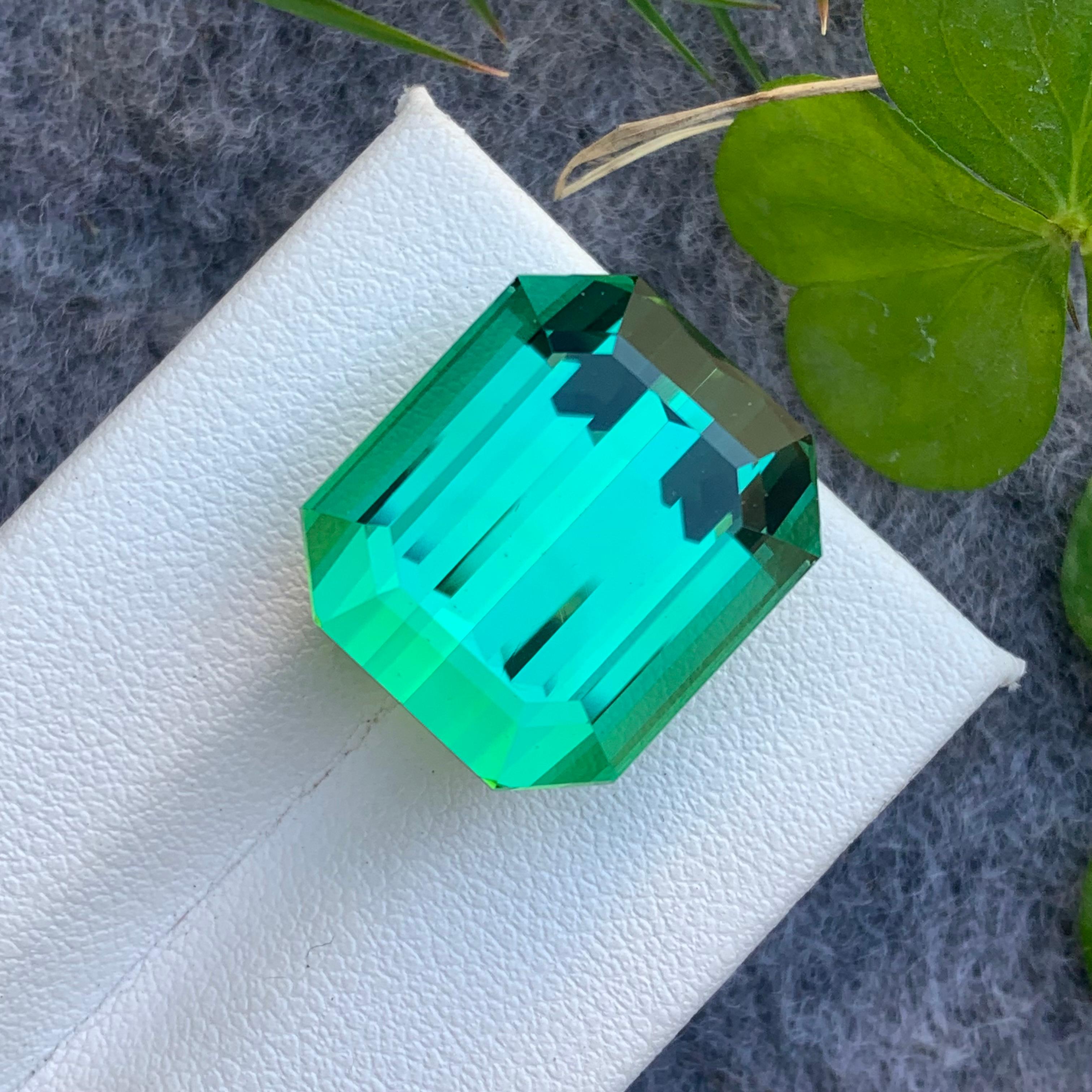 30.0 Carat Beautiful Quality Natural Lagoonish Green Tourmaline from Afghanistan For Sale 7