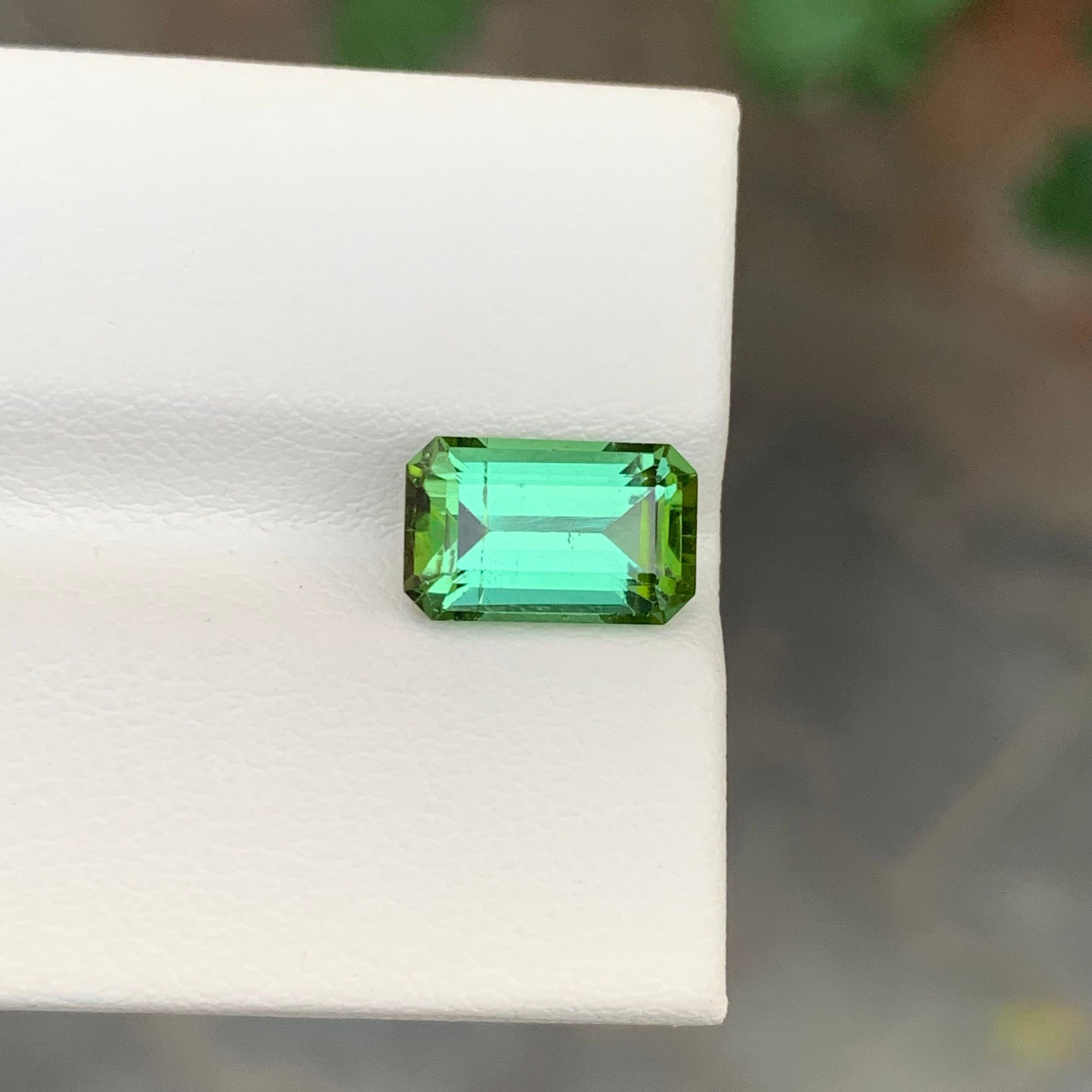 Facettierter grüner Turmalin

Gewicht: 3.00 Karat
Abmessung: 10.4 x 6.5 x 5.2 Mm
Farbe: Grün
Behandlung: Nicht
Zertifikat: Auf Kundenwunsch
Die Form: Smaragd


Der Turmalin ist ein faszinierender Edelstein, der für seine bemerkenswerte Farbvielfalt