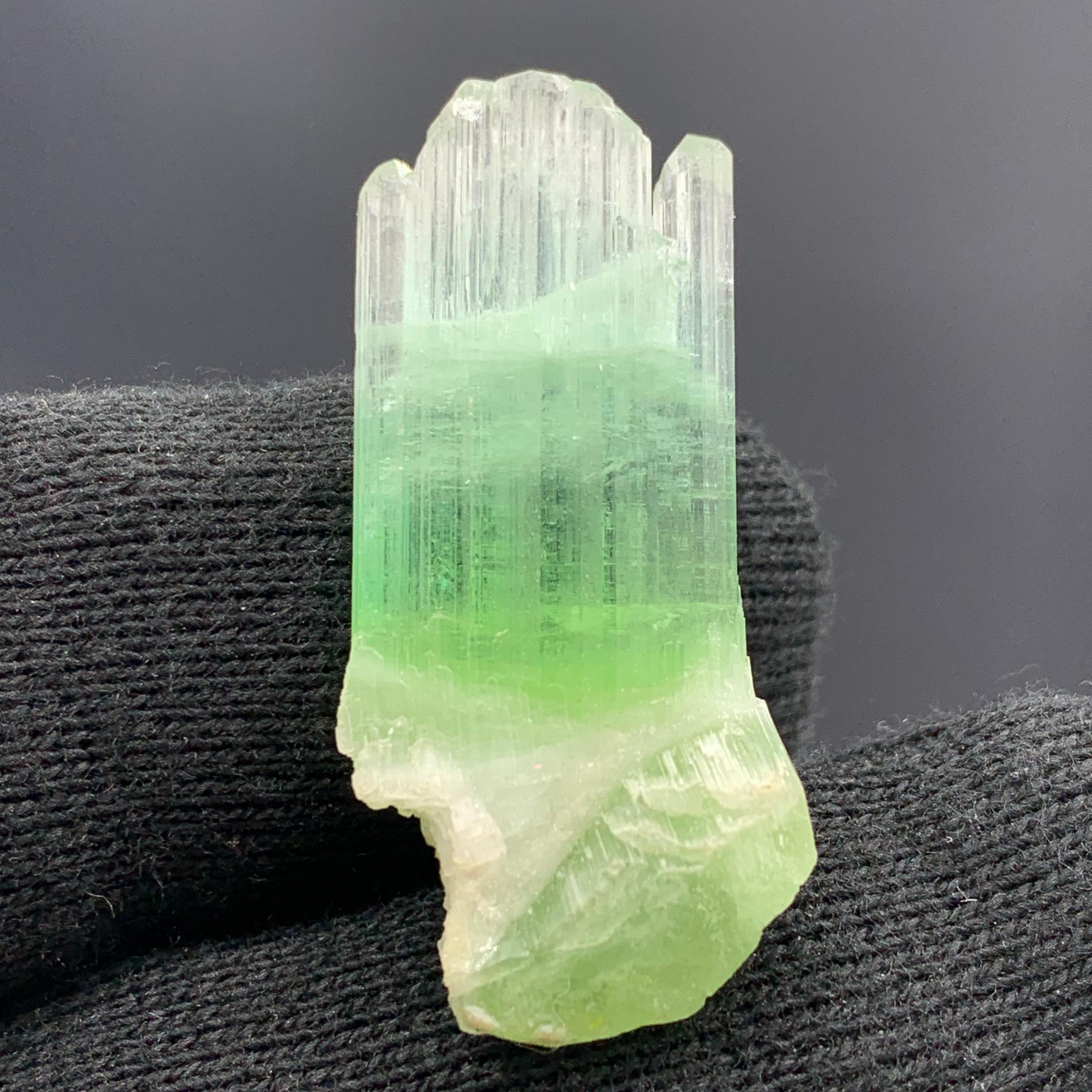 30.10 Carats Beautiful Bi Color Tourmaline Crystal From Afghanistan  For Sale 6