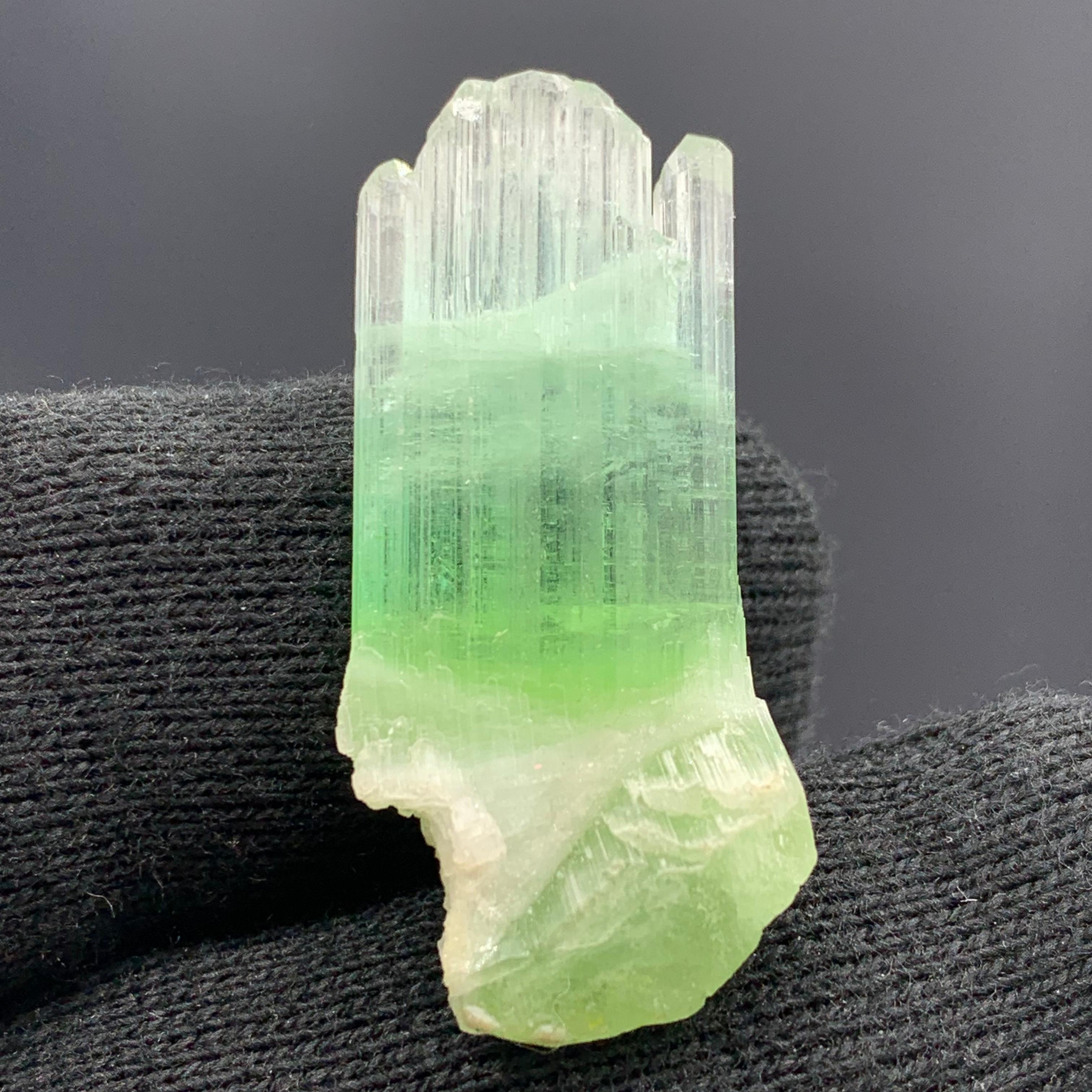 30,10 Quilates Hermoso Cristal de Turmalina Bicolor de Afganistán en venta 5