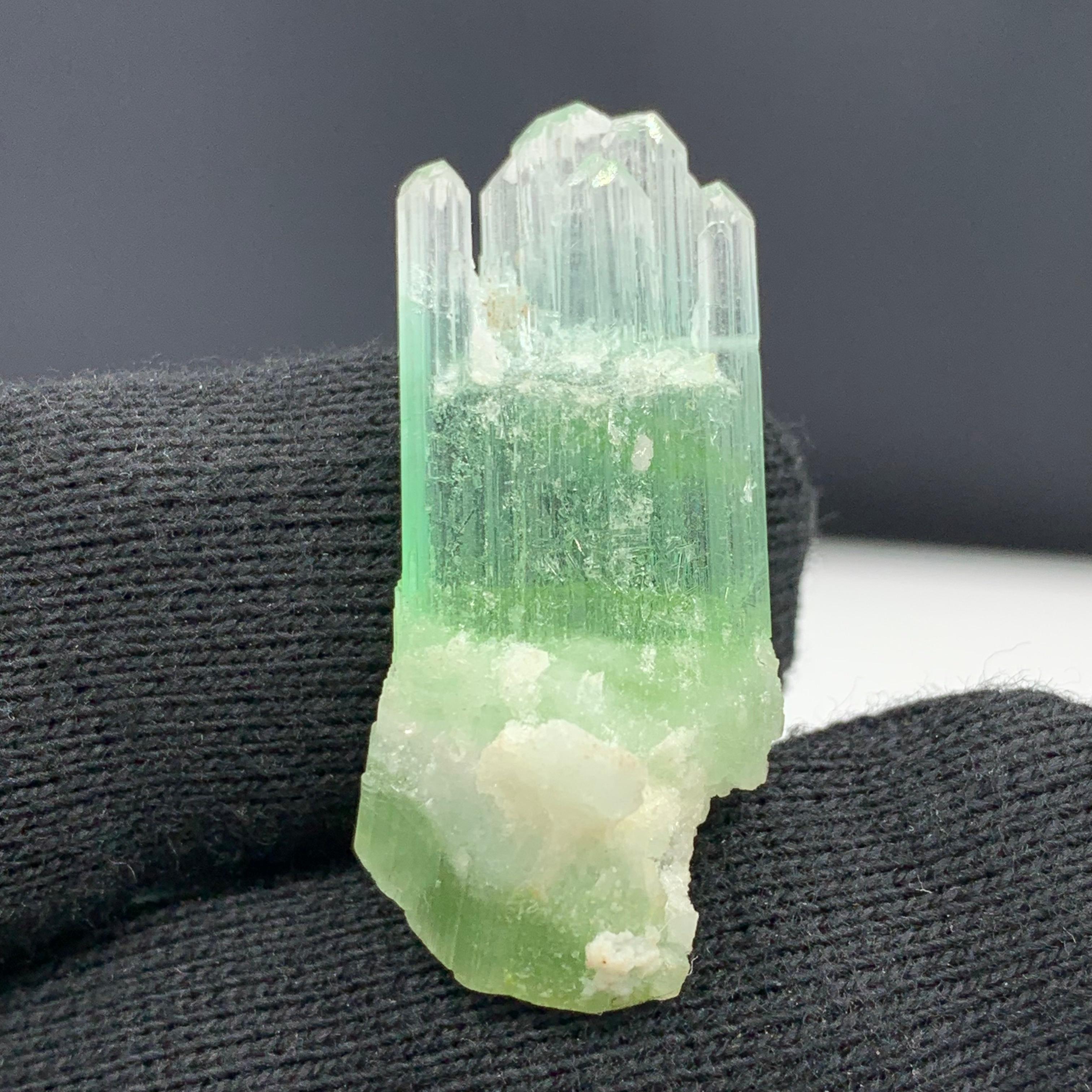 Magnifique cristal de tourmaline bicolore d'Afghanistan de 30,10 carats  en vente 7