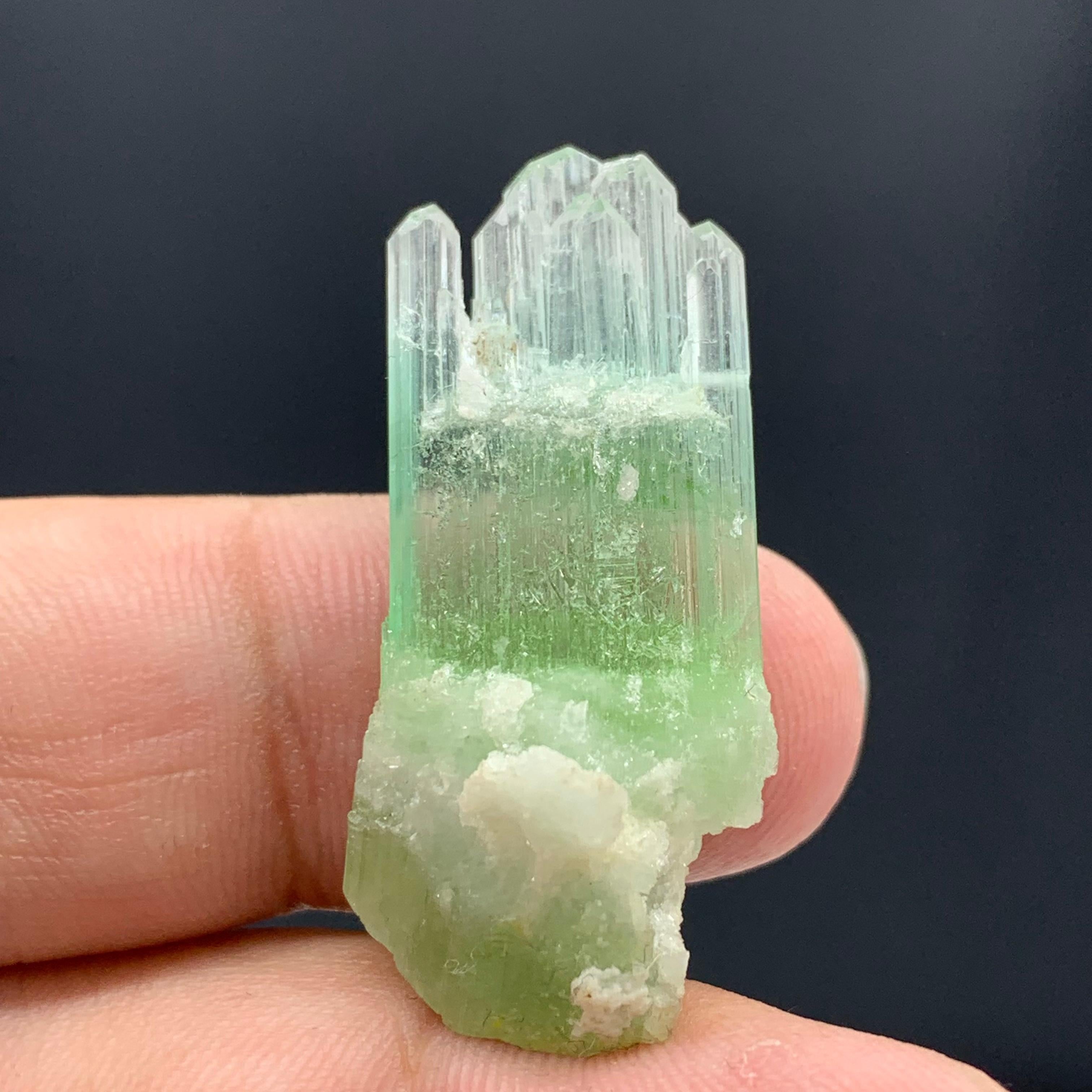  Beautiful Bi Color Tourmaline Crystal From Afghanistan 
Weight: 30.10 Carat
Dim: 3.6 x 1.6 x 0.9 Cm 
Origin : Afghanistan

Tourmaline is a crystalline silicate mineral group in which boron is compounded with elements such as aluminium, iron,
