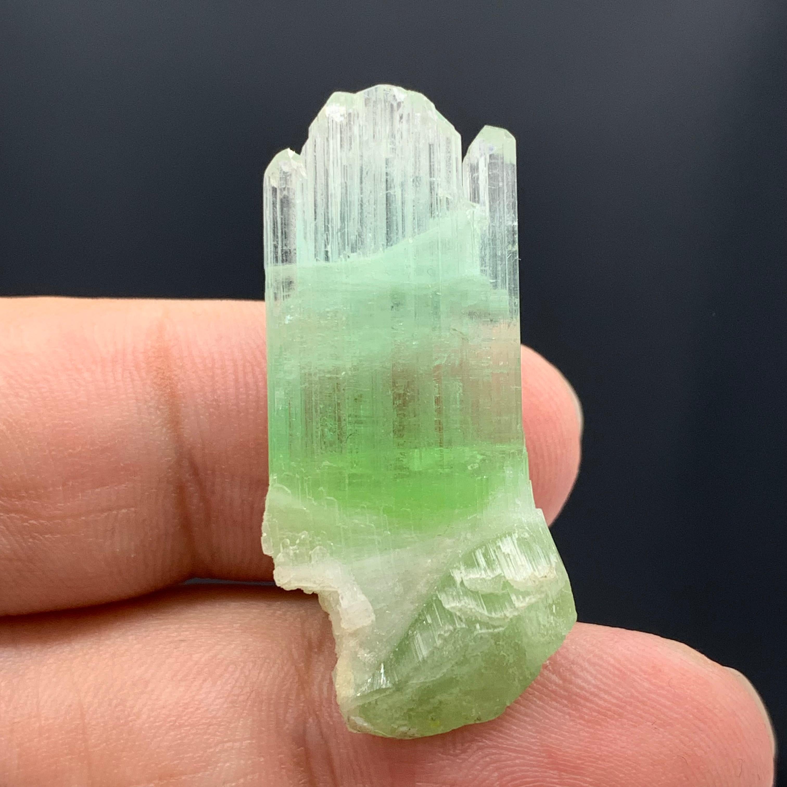Adam Style 30.10 Carats Beautiful Bi Color Tourmaline Crystal From Afghanistan  For Sale
