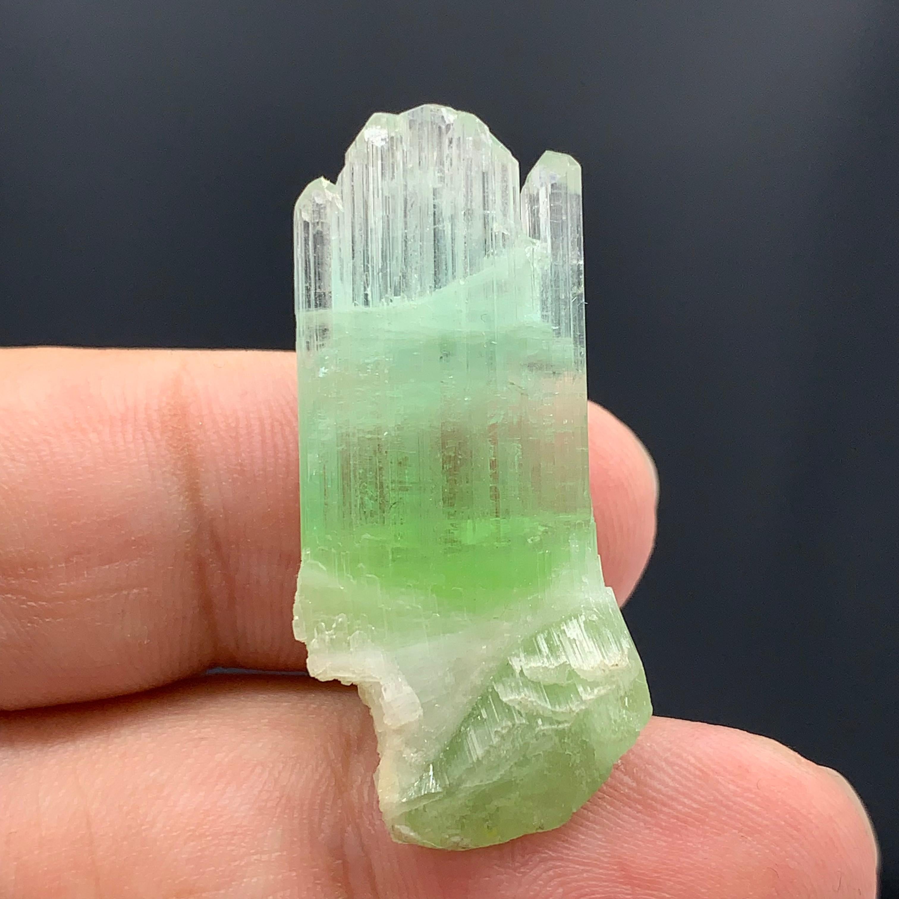 Autre Magnifique cristal de tourmaline bicolore d'Afghanistan de 30,10 carats  en vente
