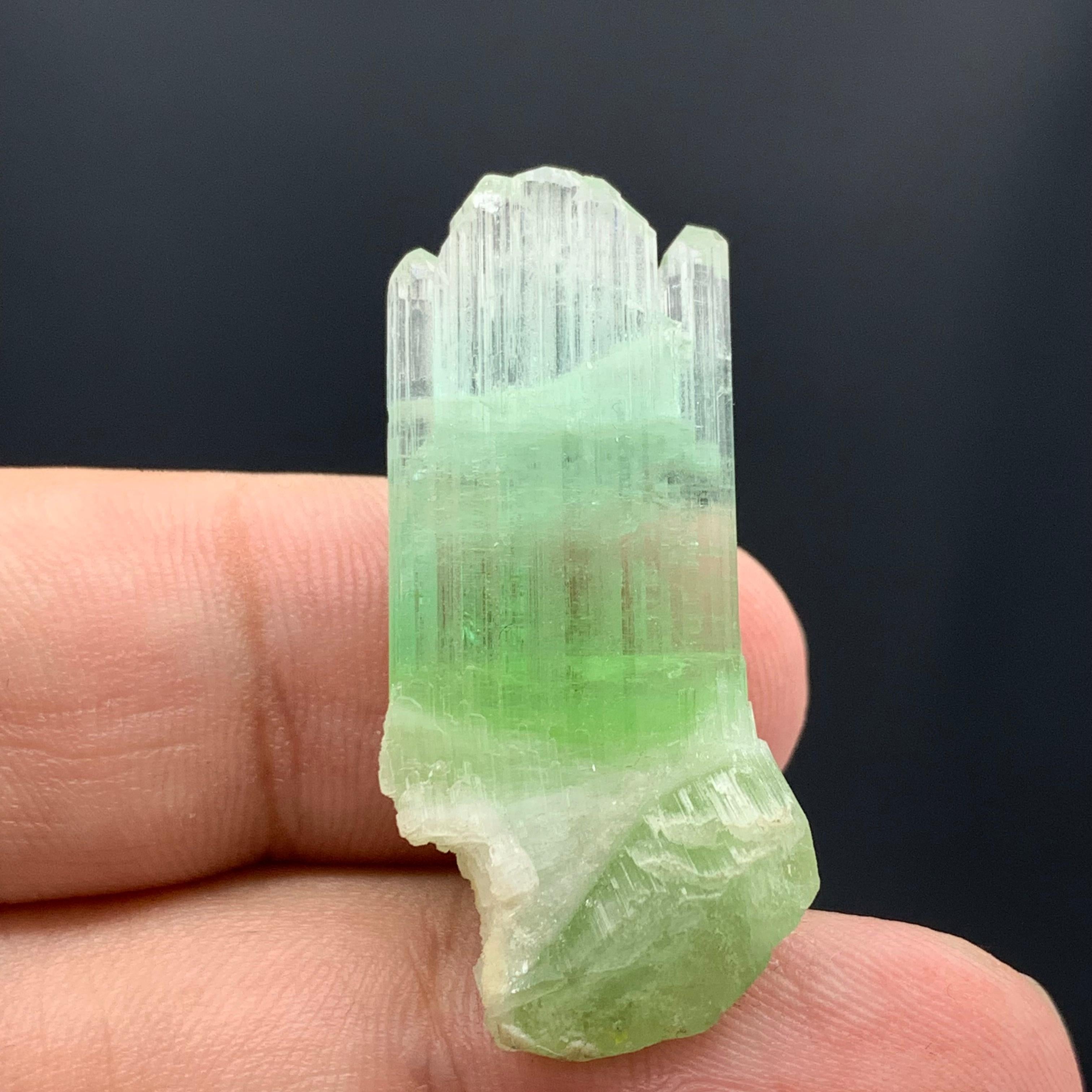 Magnifique cristal de tourmaline bicolore d'Afghanistan de 30,10 carats  Bon état - En vente à Peshawar, PK